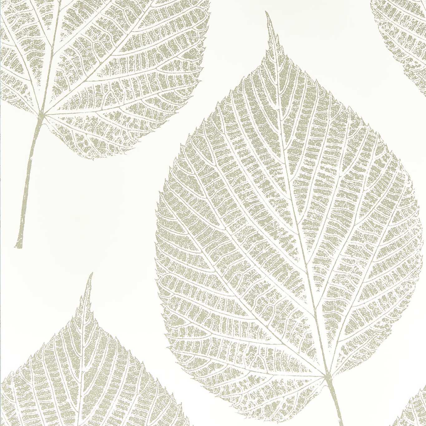 HARLEQUIN Leaf Wallpaper Leaves , Trees Chalk,Silver Rotary Printed Wallpaper - HTEW112609