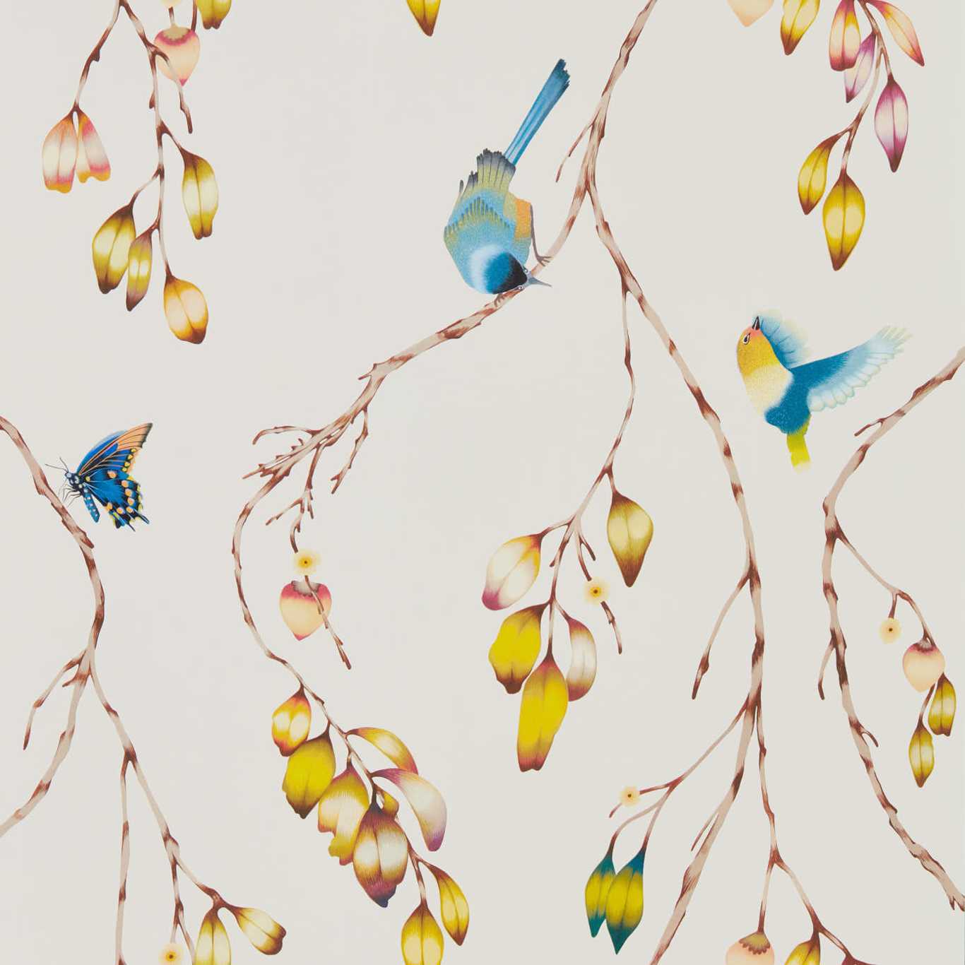 HARLEQUIN Iyanu Wallpaper Birds Papaya,Kiwi Gravure - Wide Width Printed Wallpaper - HZAP111770