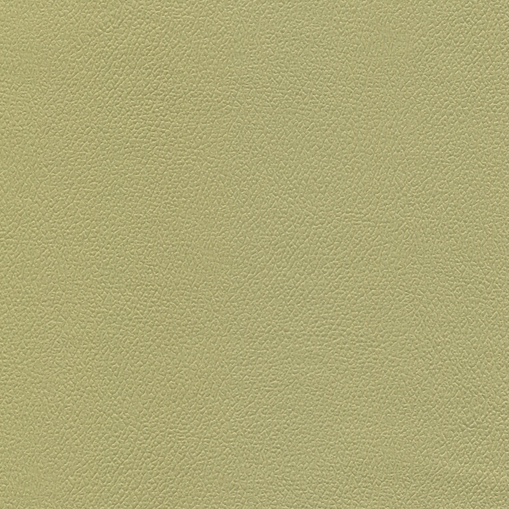 NICHOLASJOHN INC NJ-ERIKA Baby Greens Solid Fabric - NJ25-1697