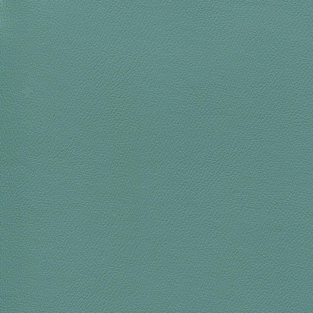 NICHOLASJOHN INC NJ-ERIKA Frog Prince Solid Fabric - NJ25-1712