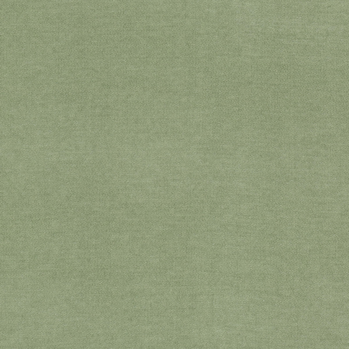 STOUT TEXTILES UPHOLSTERY,CHENILLE TRADITIONAL, SOLID CELADON - INEV-1