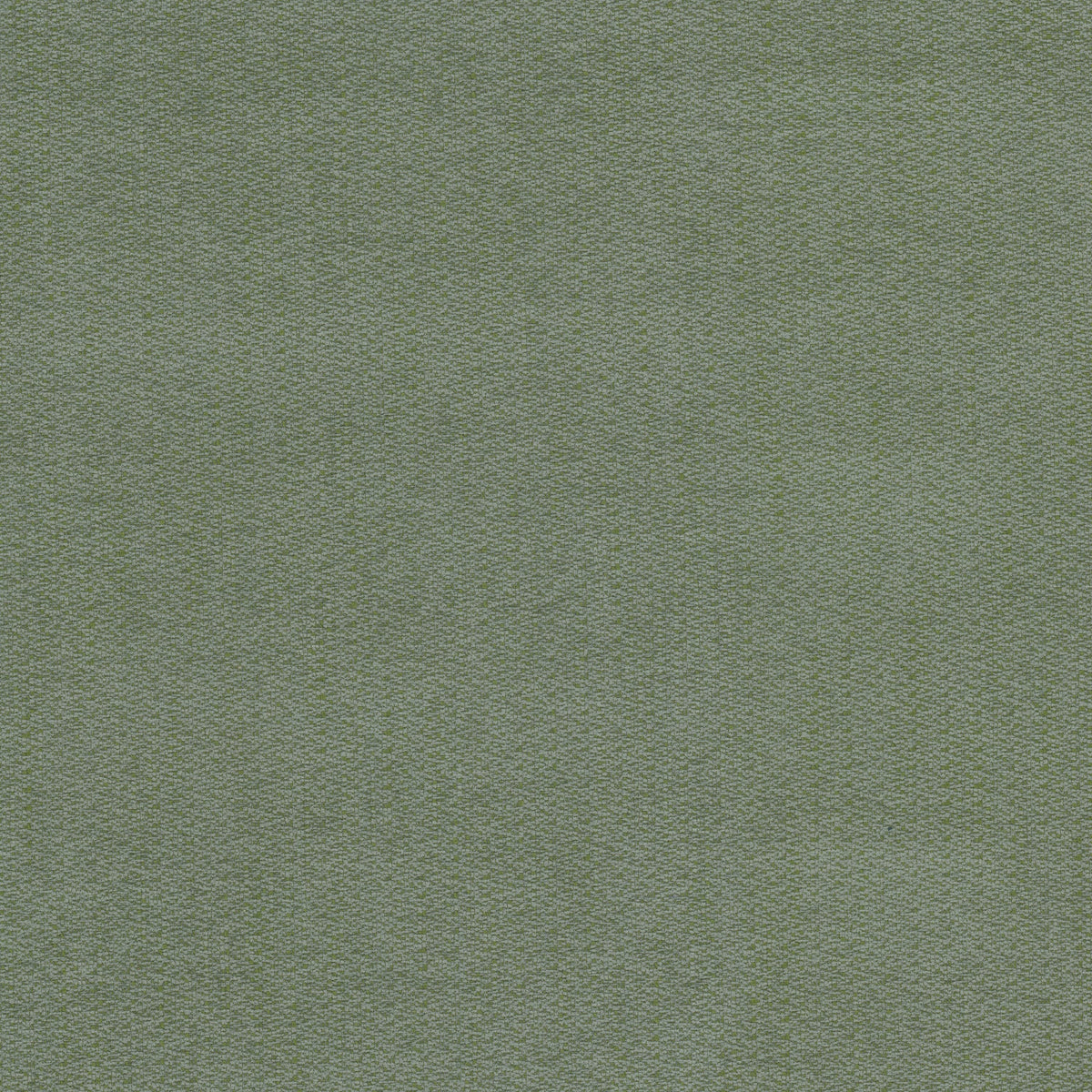 STOUT TEXTILES UPHOLSTERY,CHENILLE TRADITIONAL, TEXTURE AVOCADO - KIEV-1