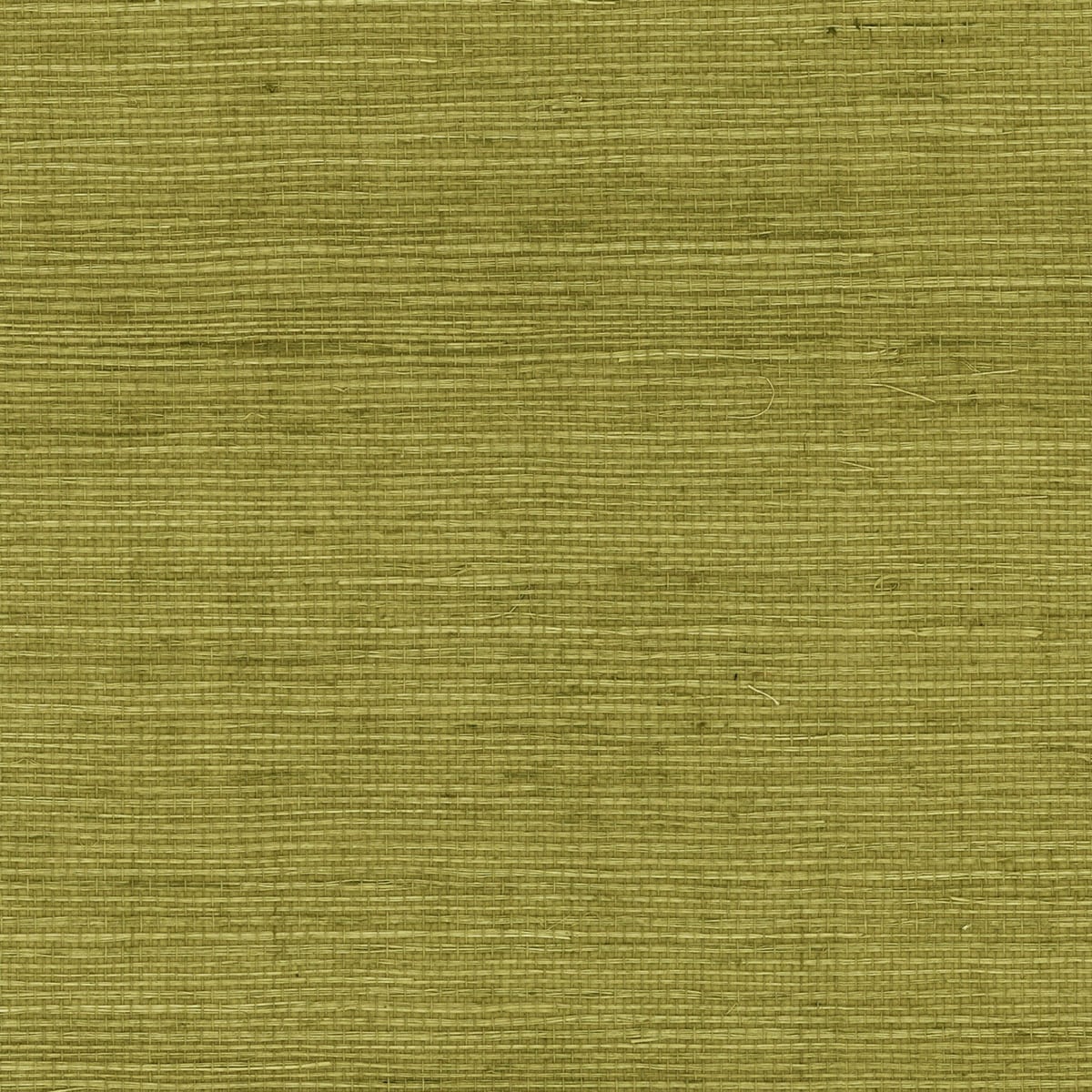 Lillian August Luxe Retreat Sisal Grasscloth Grasscloth Coastal Green Satin - LN11804