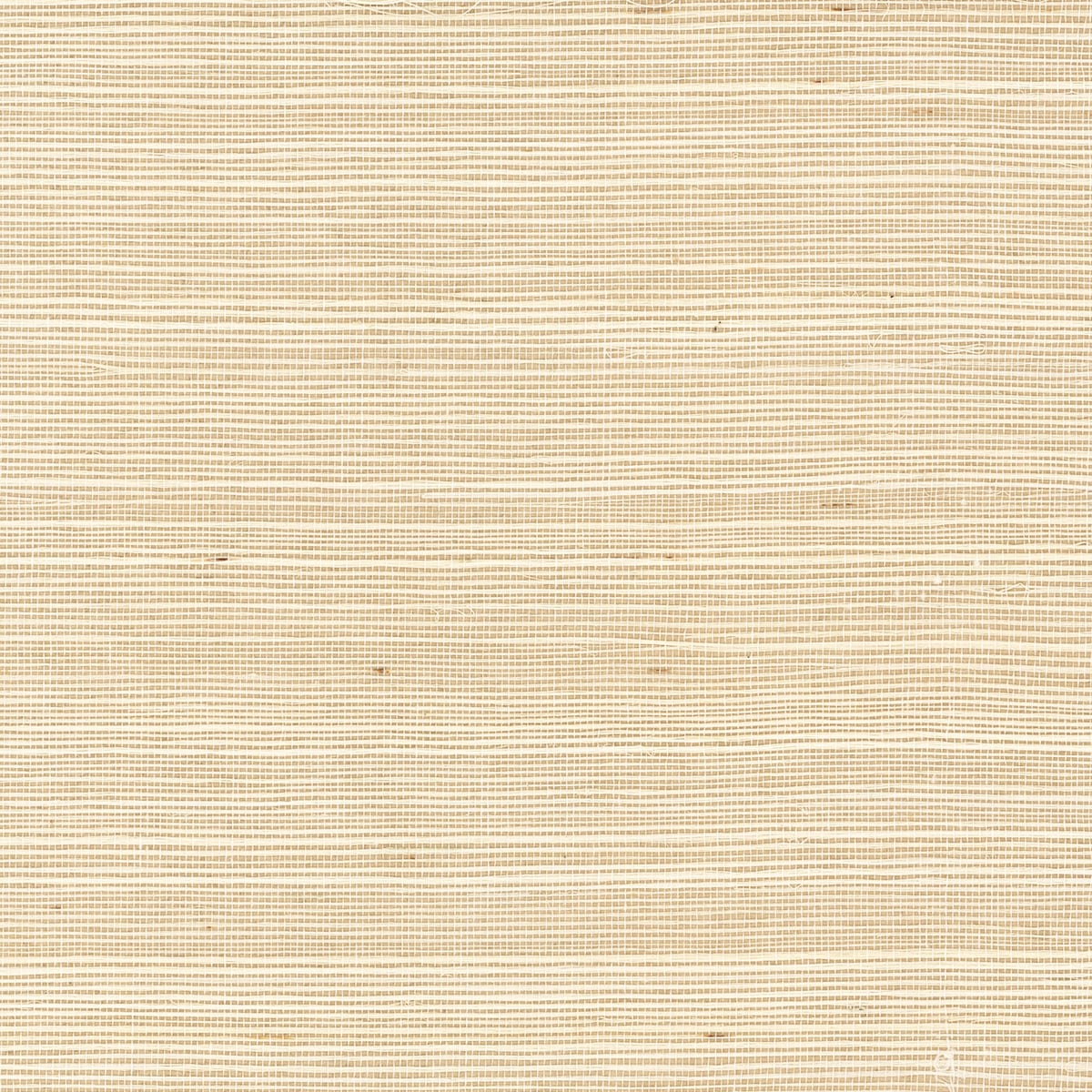 Lillian August Lillian August Grasscloth Binder Sisal Grasscloth Contemporary Beige Satin - LN11813