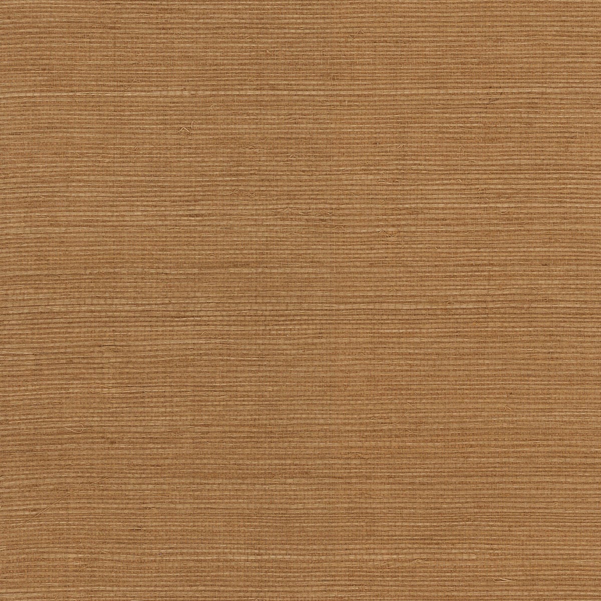 Lillian August Luxe Retreat Sisal Grasscloth Grasscloth Coastal Beige Satin - LN11846