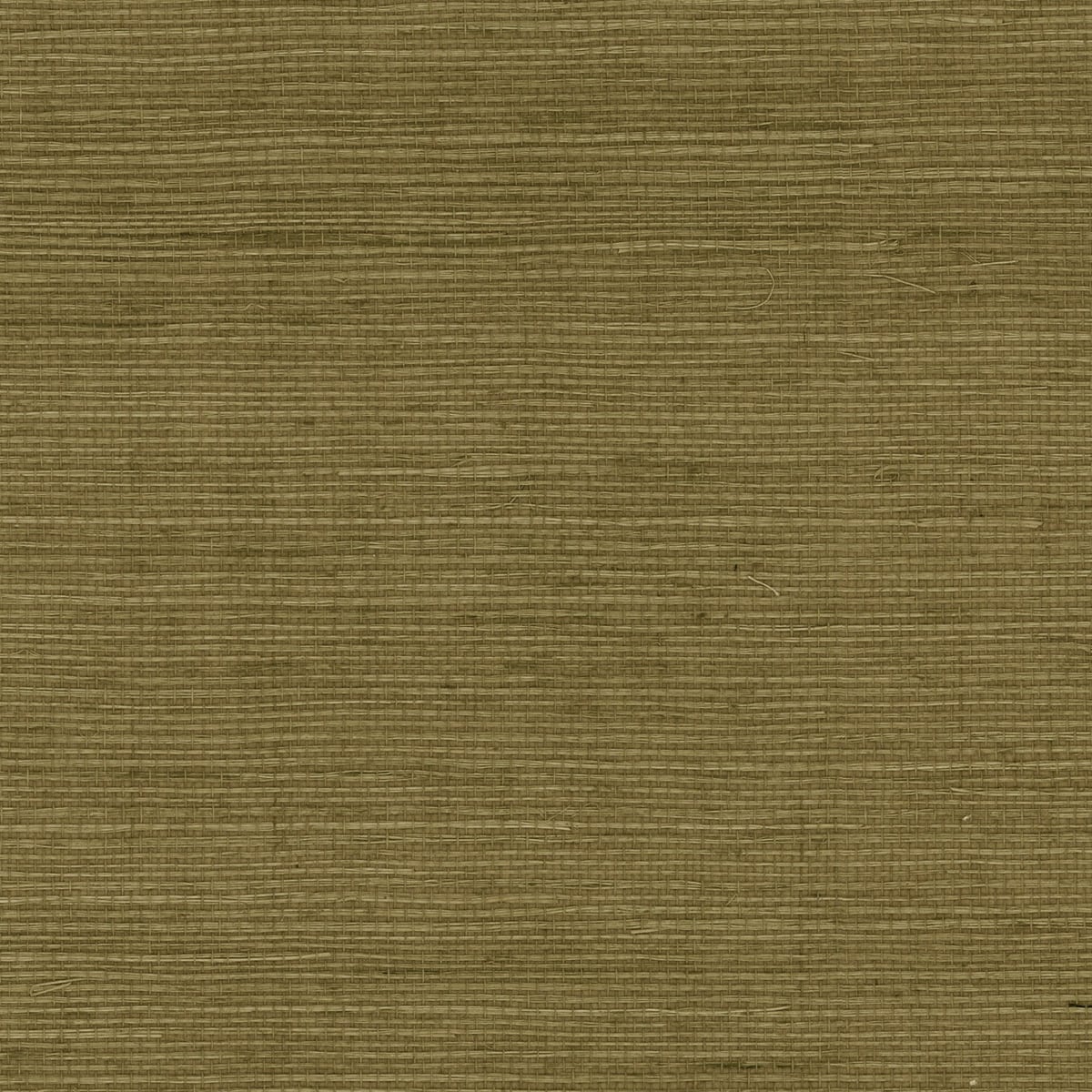 Lillian August Lillian August Grasscloth Binder Sisal Grasscloth Contemporary Green Satin - LN11854