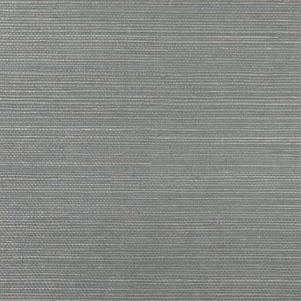 Lillian August Lillian August Grasscloth Binder Sisal Grasscloth Contemporary Blue Metallic - LN11868