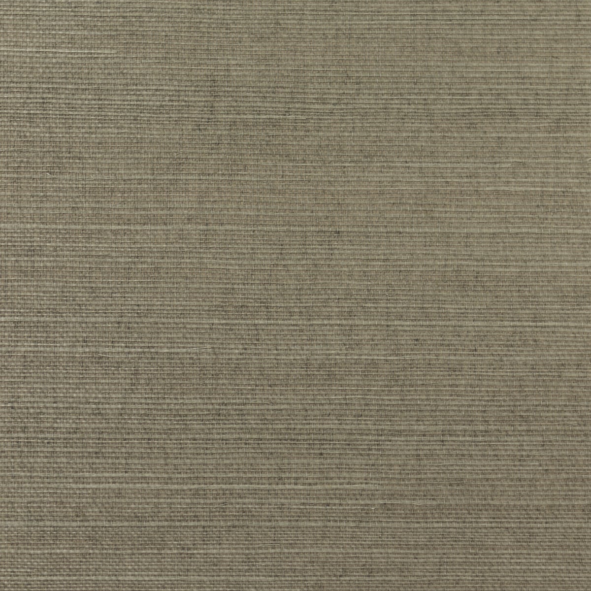 Lillian August Lillian August Grasscloth Binder Sisal Grasscloth Contemporary Beige Satin - LN11871