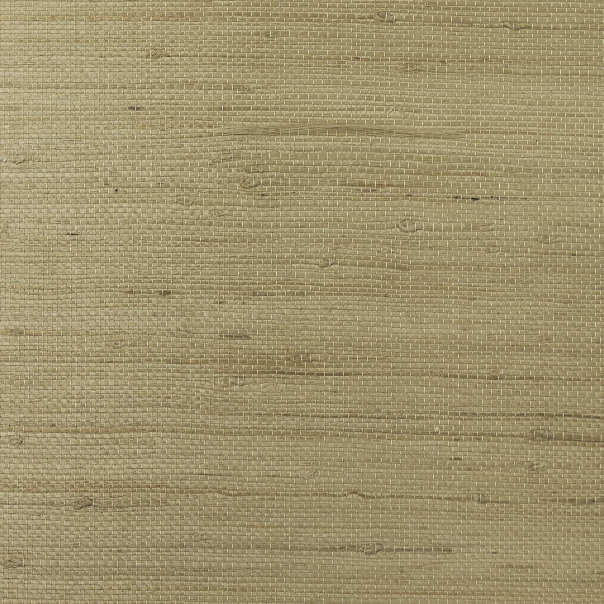 Lillian August Lillian August Grasscloth Binder Jute Grasscloth Contemporary Beige Satin - LN11875