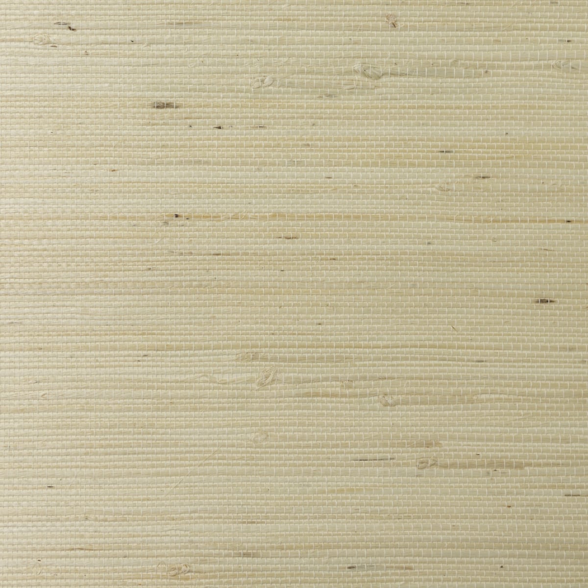 Lillian August Lillian August Grasscloth Binder Jute Grasscloth Contemporary Beige Satin - LN11898