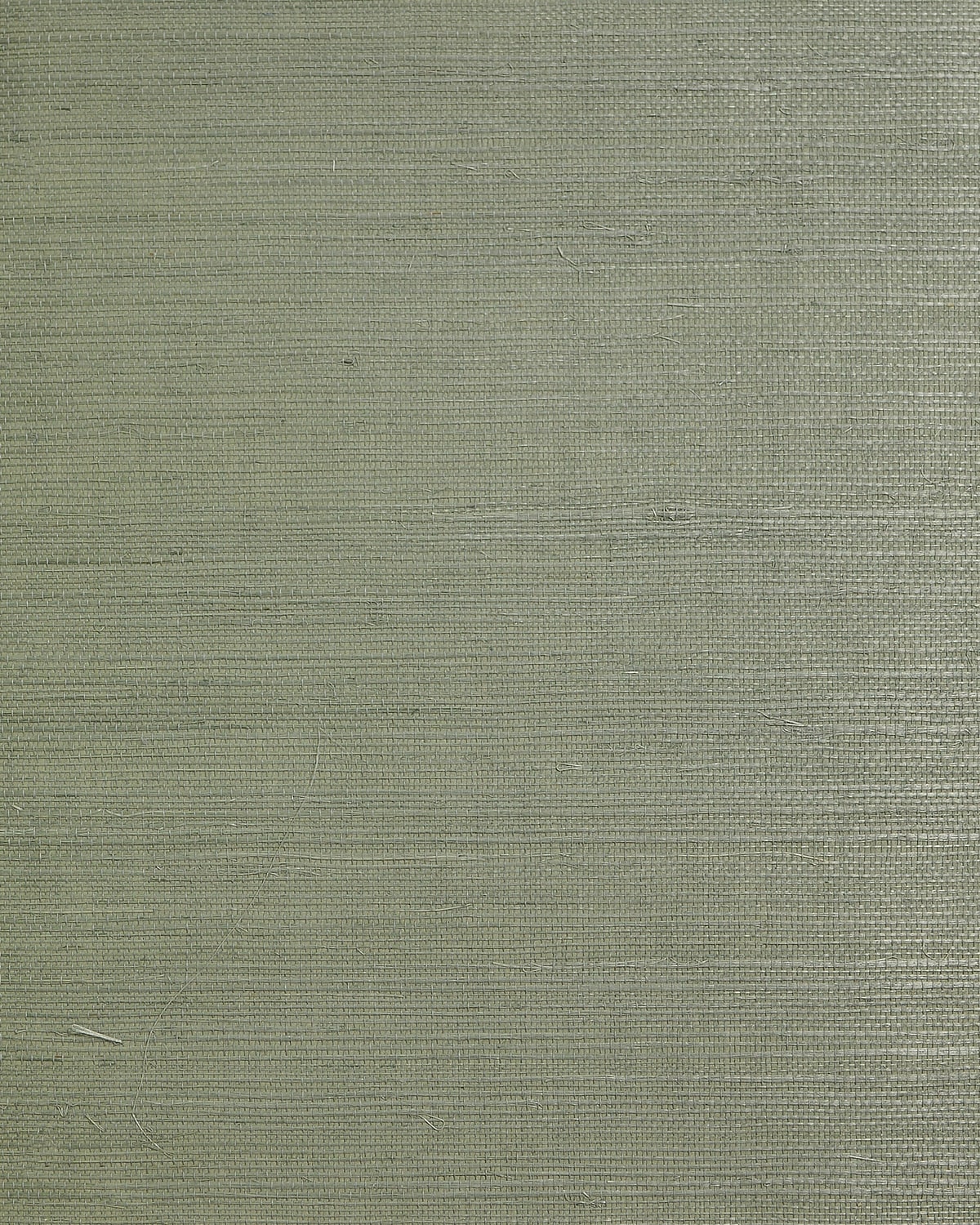 Lillian August Lillian August Natural Textured Wallcoverings 2 Regular Weave Sisal Grasscloth Contemporary Greens Satin - LN50025