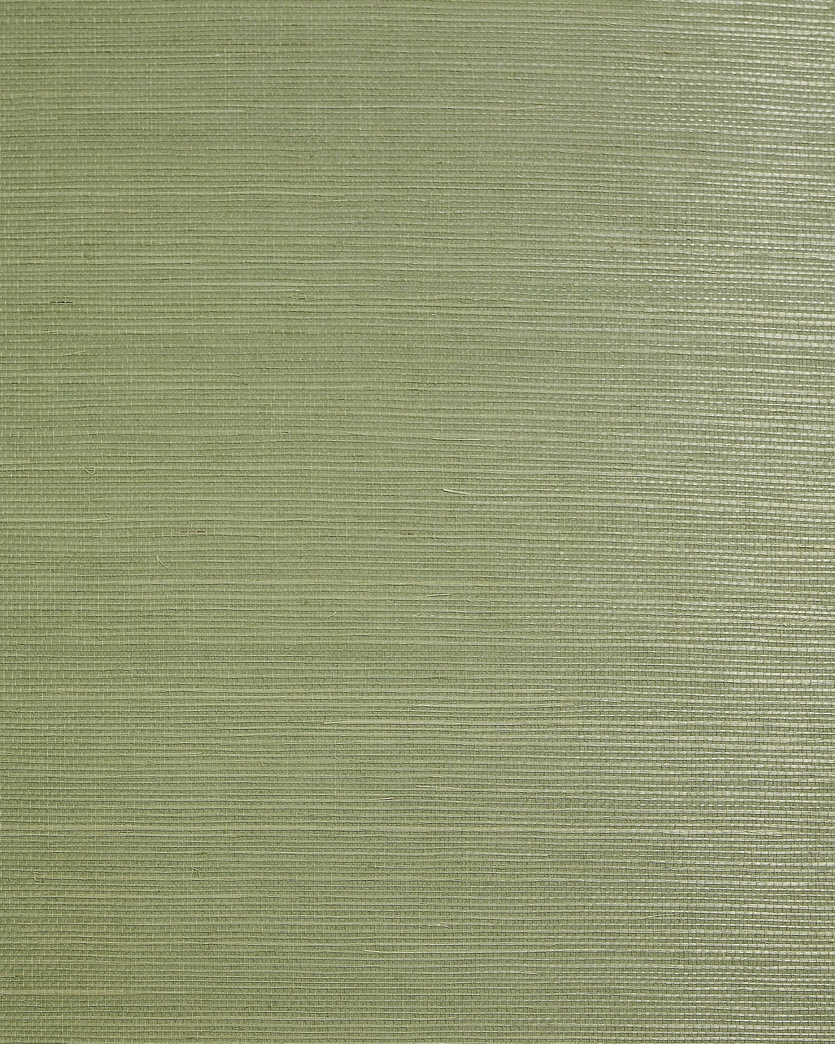 Lillian August Lillian August Natural Textured Wallcoverings 2 Sisal Grasscloth Contemporary Greens Satin - LN50028