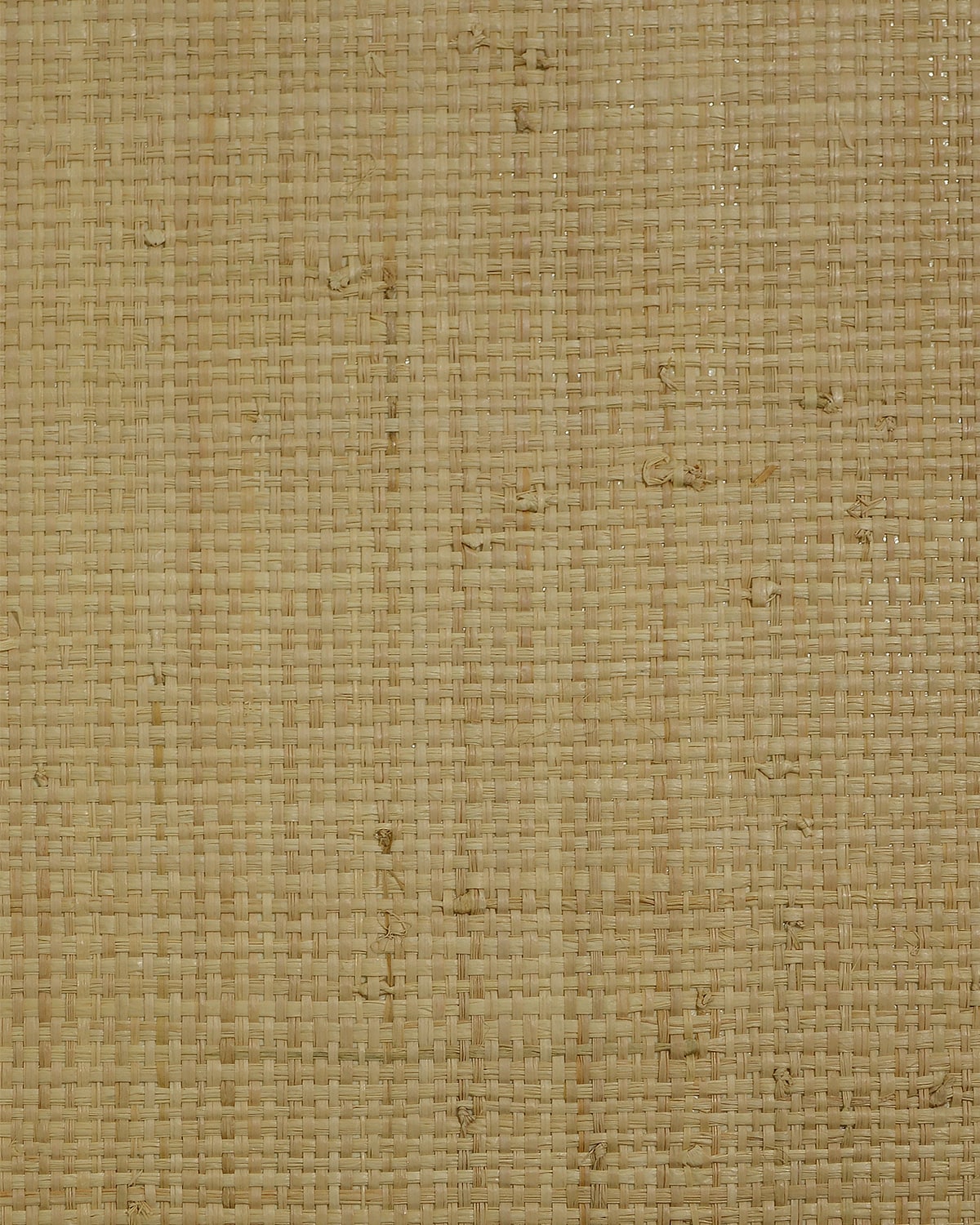 Lillian August Lillian August Natural Textured Wallcoverings 2 Raffia (100%) Grasscloth Contemporary Warm Neutrals & Beiges Satin - LN50040