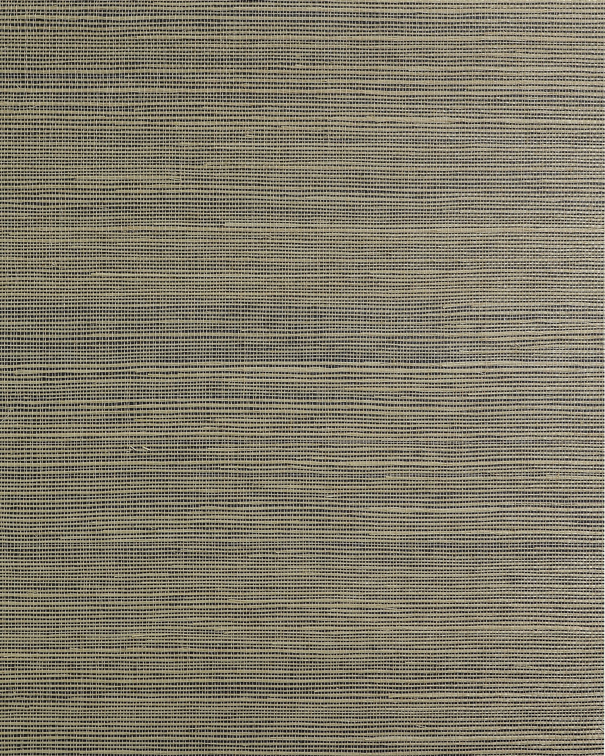 Lillian August Lillian August Natural Textured Wallcoverings 2 Sisal Grasscloth Contemporary Warm Neutrals & Beiges Satin - LN50080
