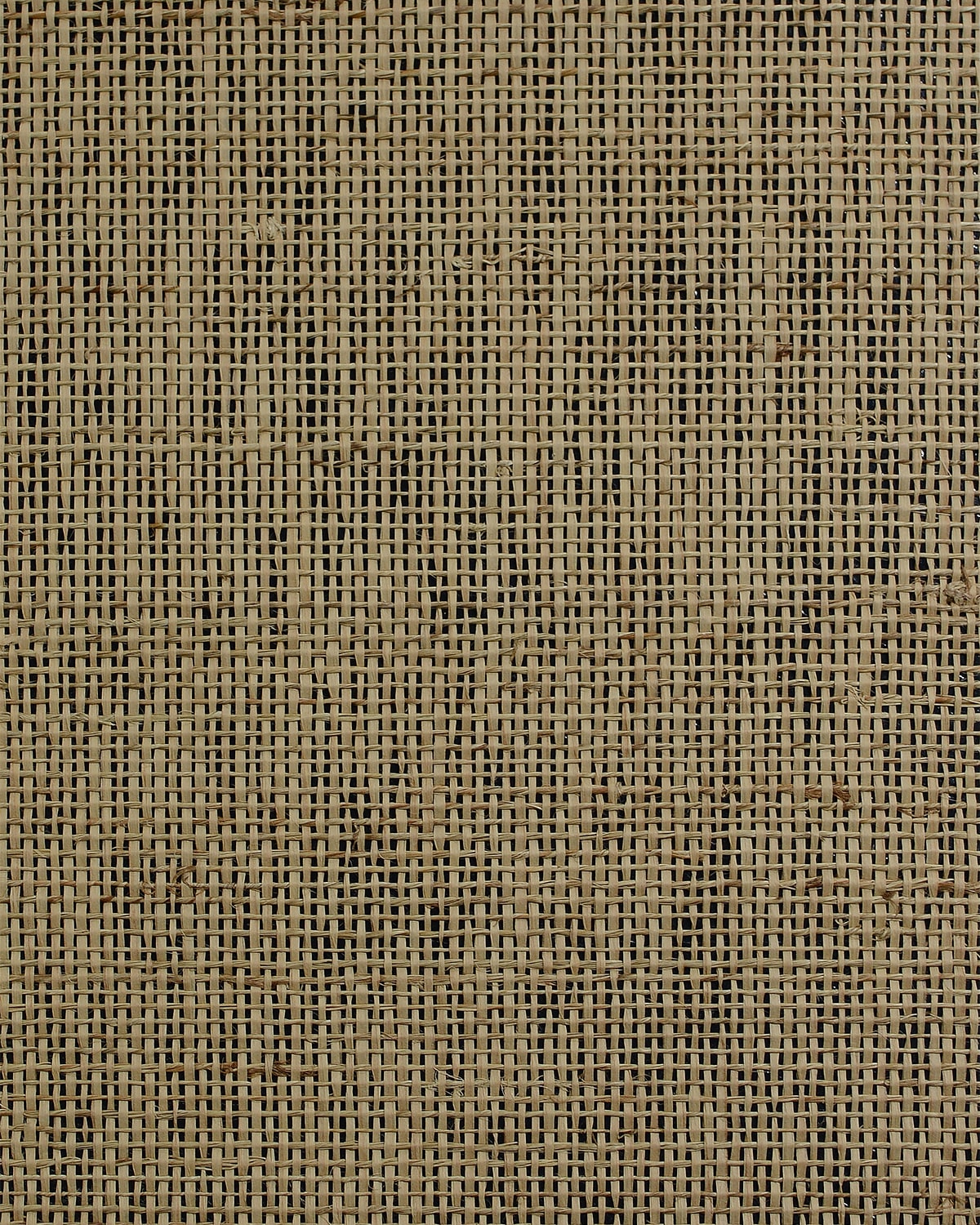 Lillian August Lillian August Natural Textured Wallcoverings 2 Raw Jute Grasscloth Contemporary Warm Neutrals & Beiges Satin - LN50086