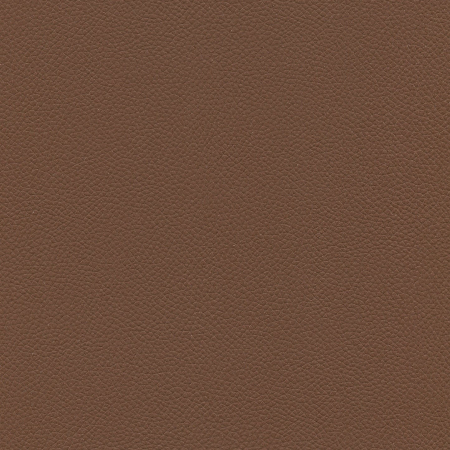 NICHOLASJOHN INC NJ-ELONG Morocco Solid Fabric - NJ25-1971