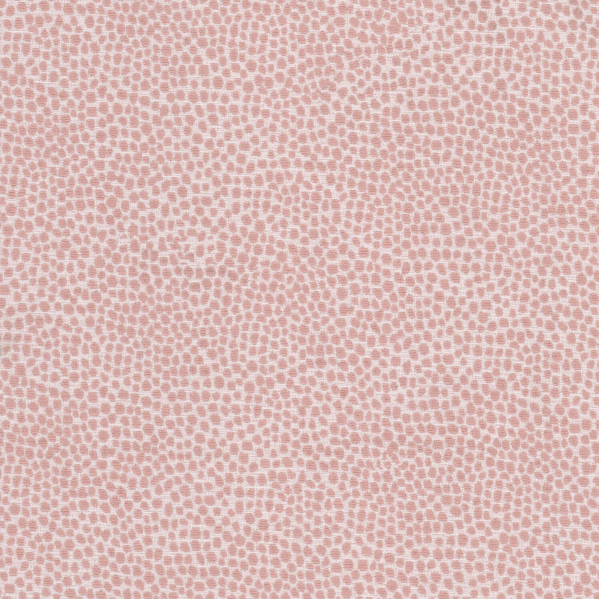 STOUT TEXTILES UPHOLSTERY,CHENILLE TRADITIONAL, ANIMAL SKIN POWDER - LOLL-4