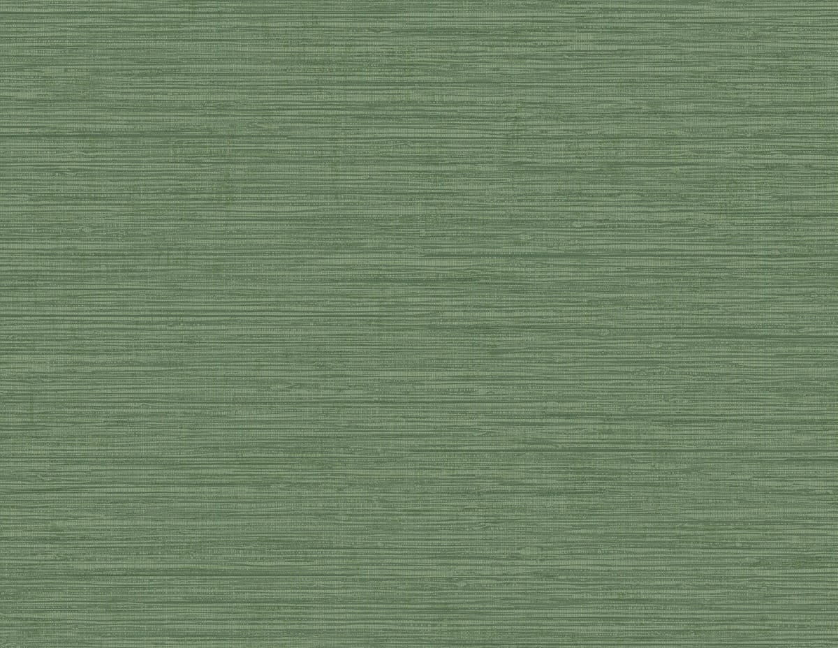 Seabrook Designs Beach House Nautical Twine Stringcloth Faux Grasscloth Coastal Green Matte - MB31804