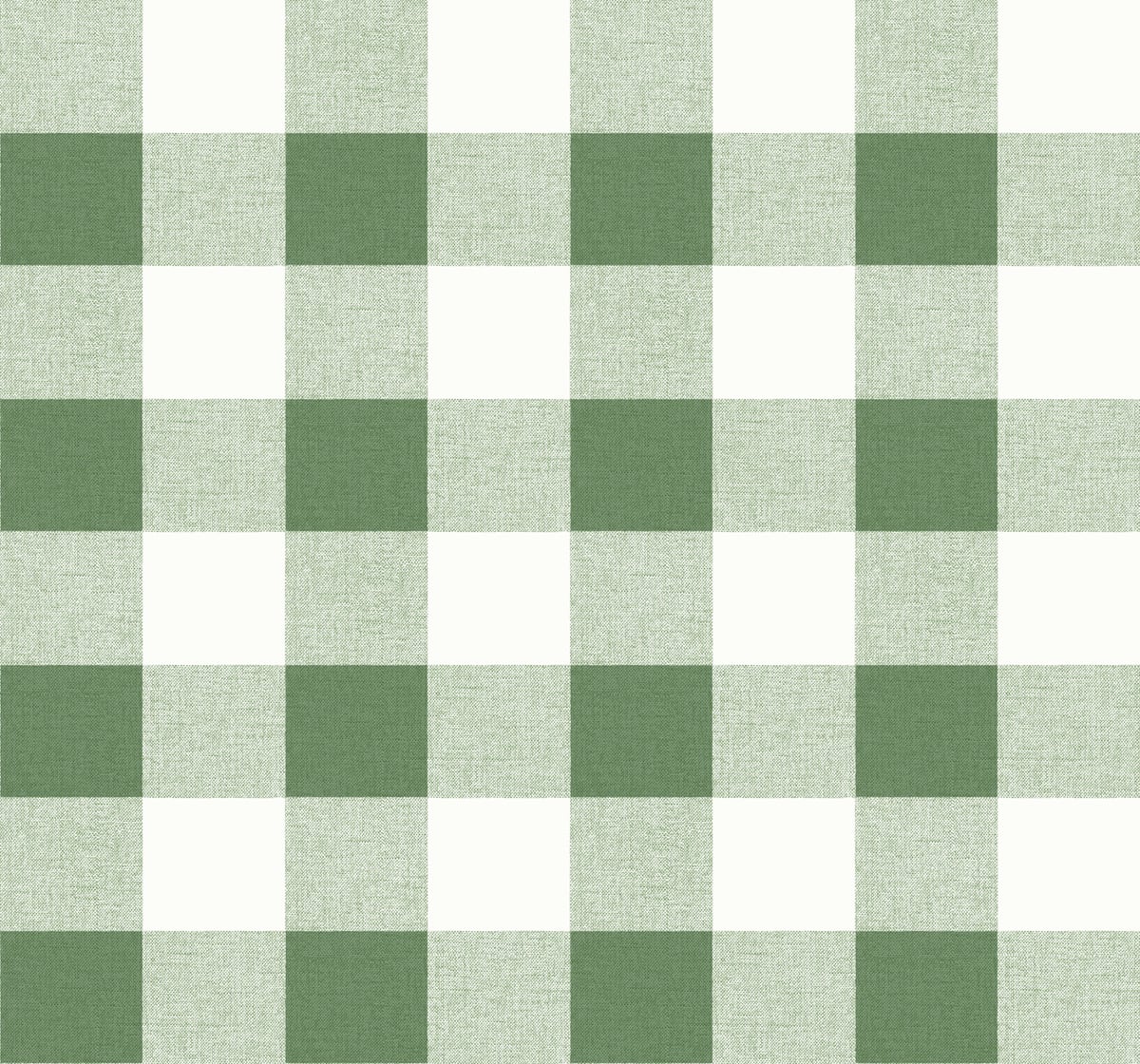 Seabrook Designs Beach House Picnic Plaid Plaid Coastal Green Matte - MB31904