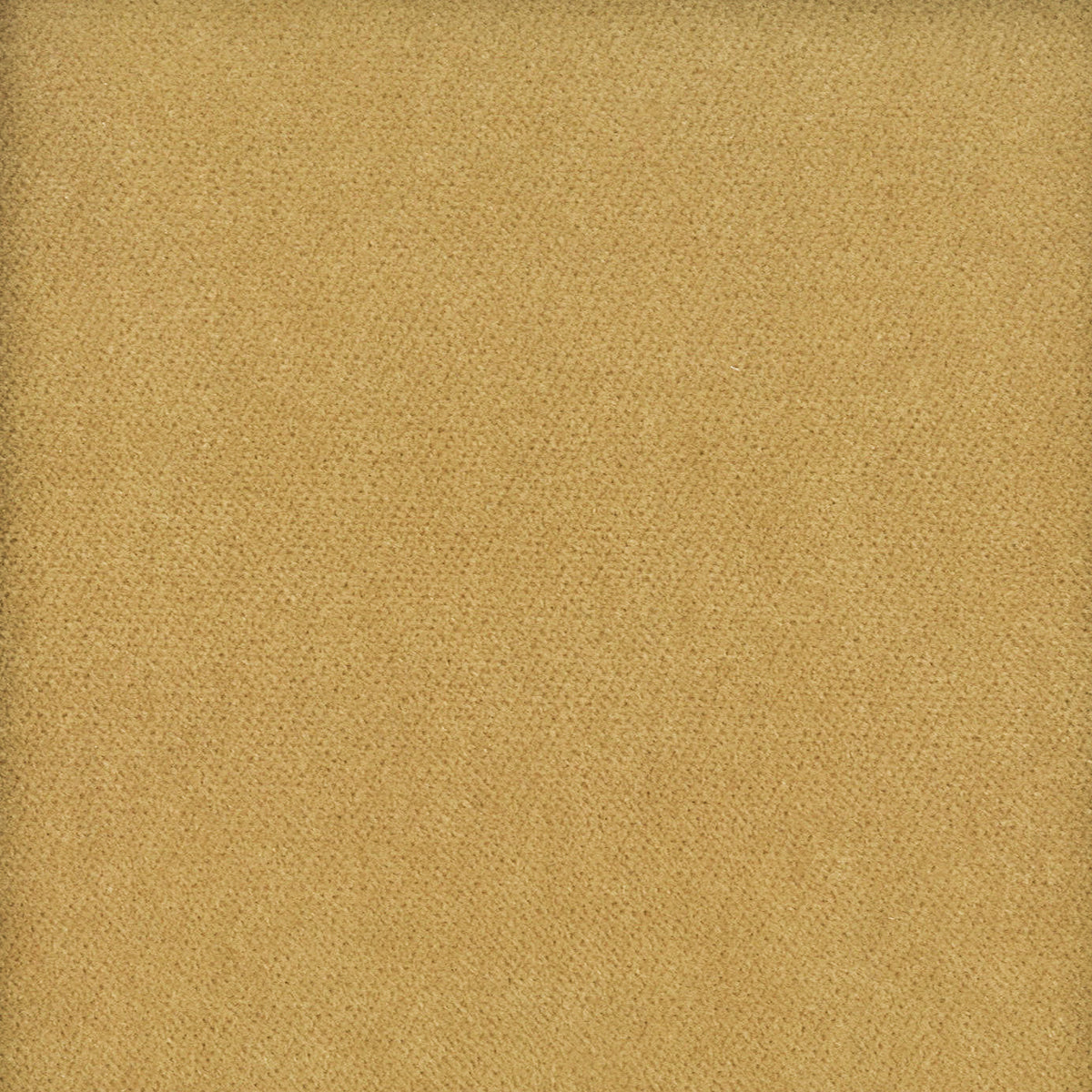 STOUT TEXTILES UPHOLSTERY,VELVET TRADITIONAL, SOLID CARAMEL - MOOR-1