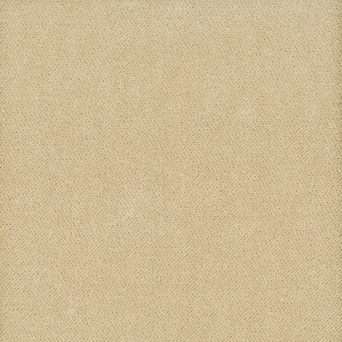 STOUT TEXTILES UPHOLSTERY,VELVET TRADITIONAL, SOLID DESERT - MOOR-28