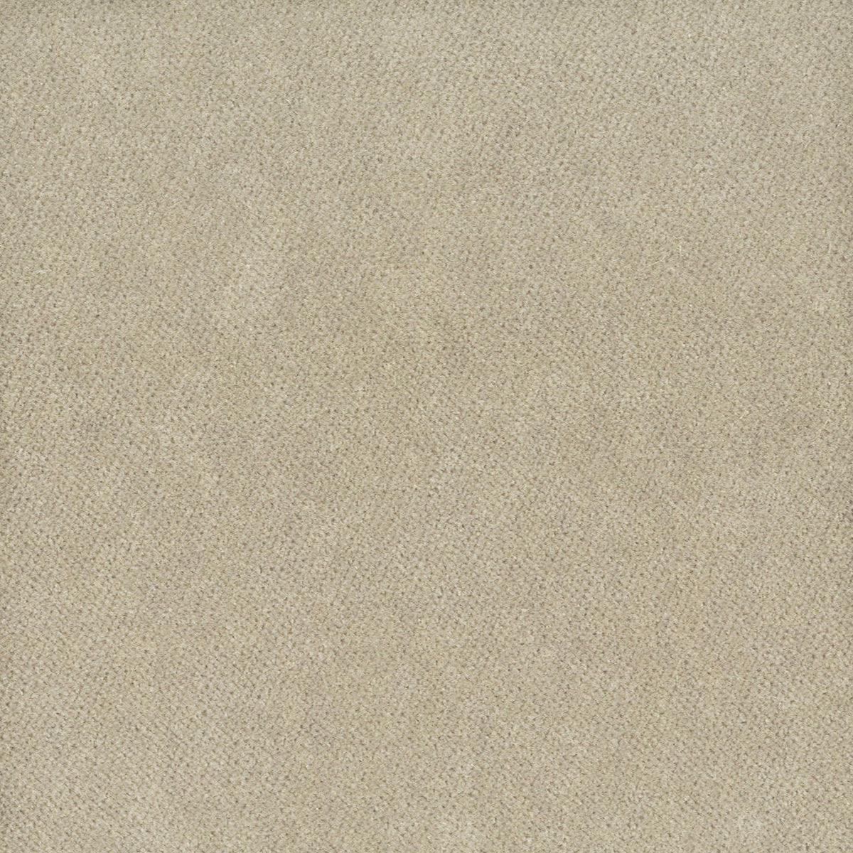 STOUT TEXTILES UPHOLSTERY,VELVET TRADITIONAL, SOLID DOVE - MOOR-35