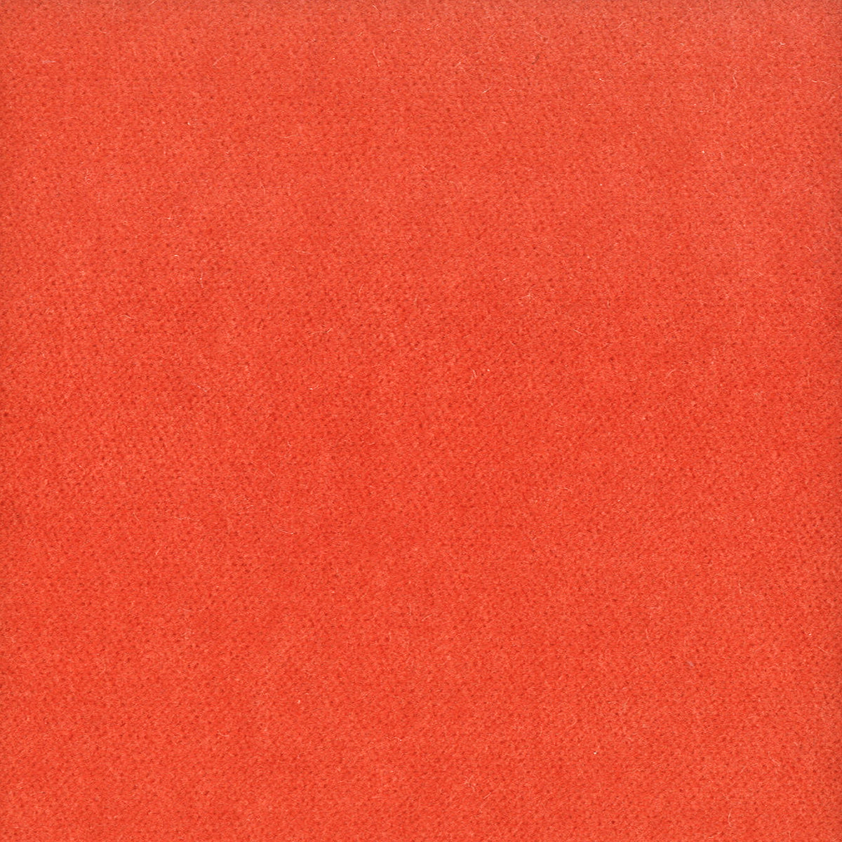 STOUT TEXTILES UPHOLSTERY,VELVET TRADITIONAL, SOLID TIGERLILY - MOOR-36