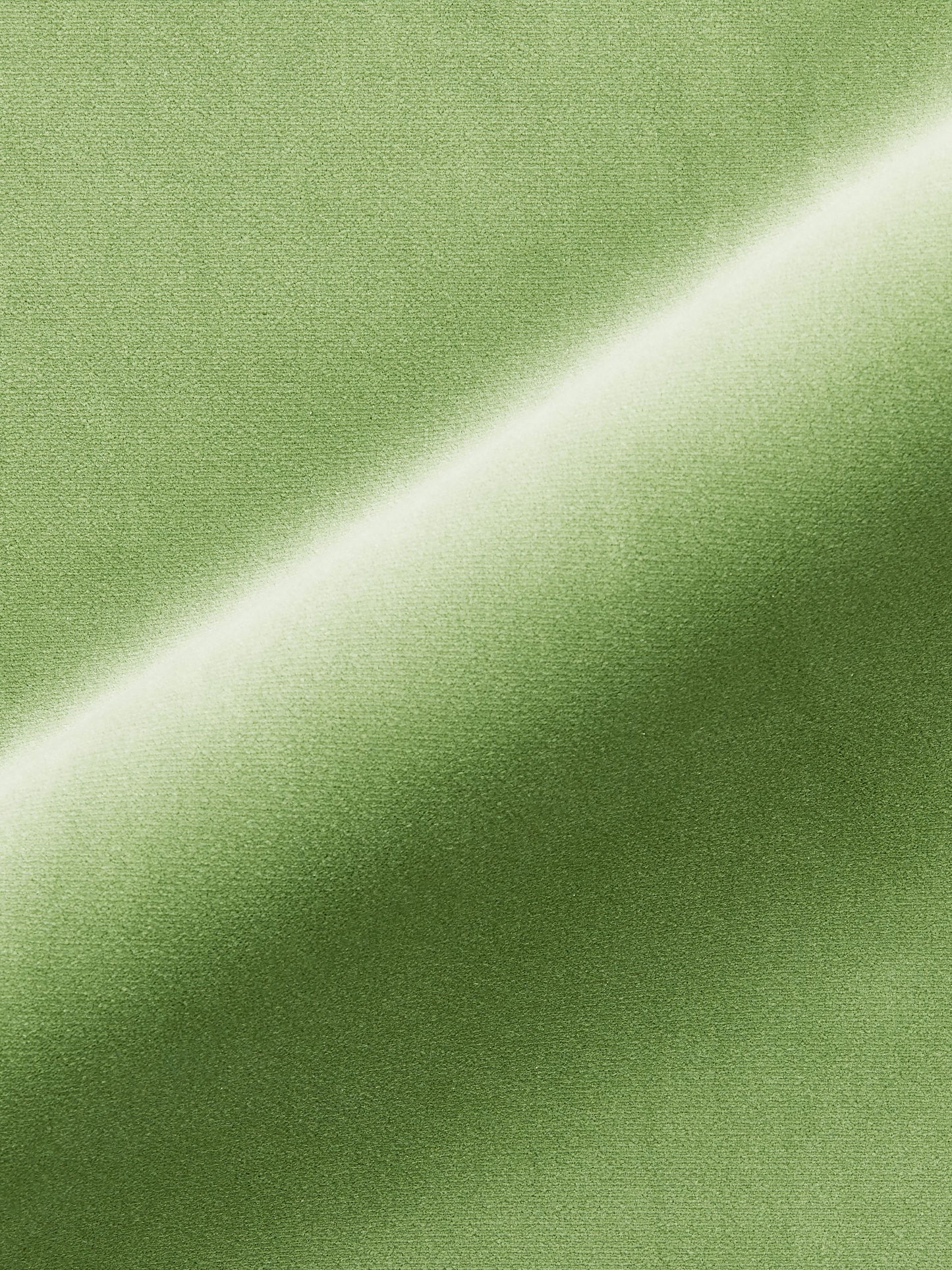 SCALAMANDRE TORINO VELVET FABRIC MEADOW - MT 00161247 NEW SKU # MT12470016