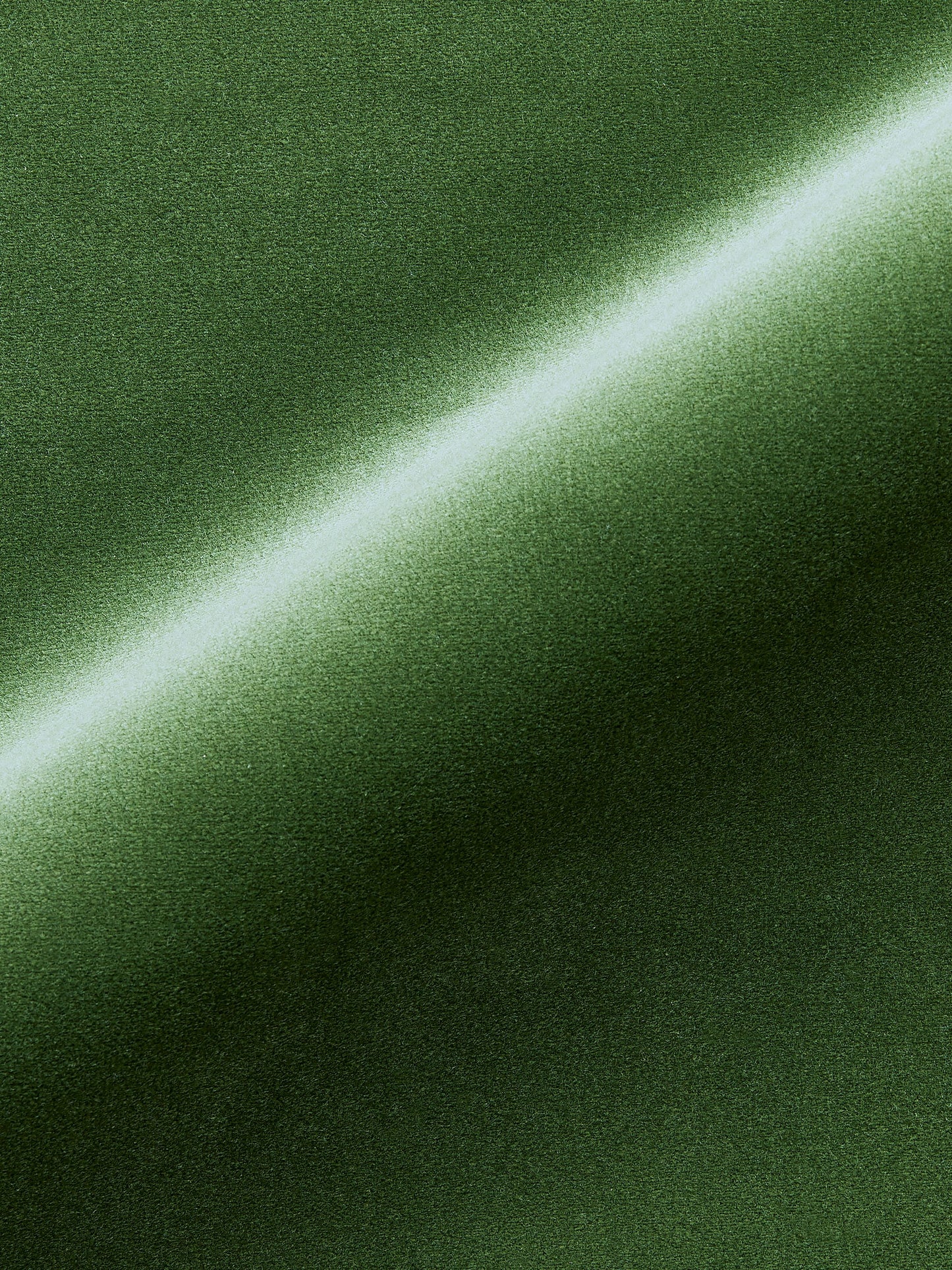 SCALAMANDRE TORINO VELVET FABRIC JUNGLE - MT 00191247 NEW SKU # MT12470019