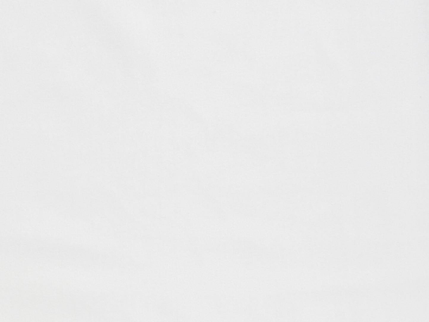 SCALAMANDRE BELLAMY FABRIC WHITE - N2 0001BELL NEW SKU # N2BELL0001