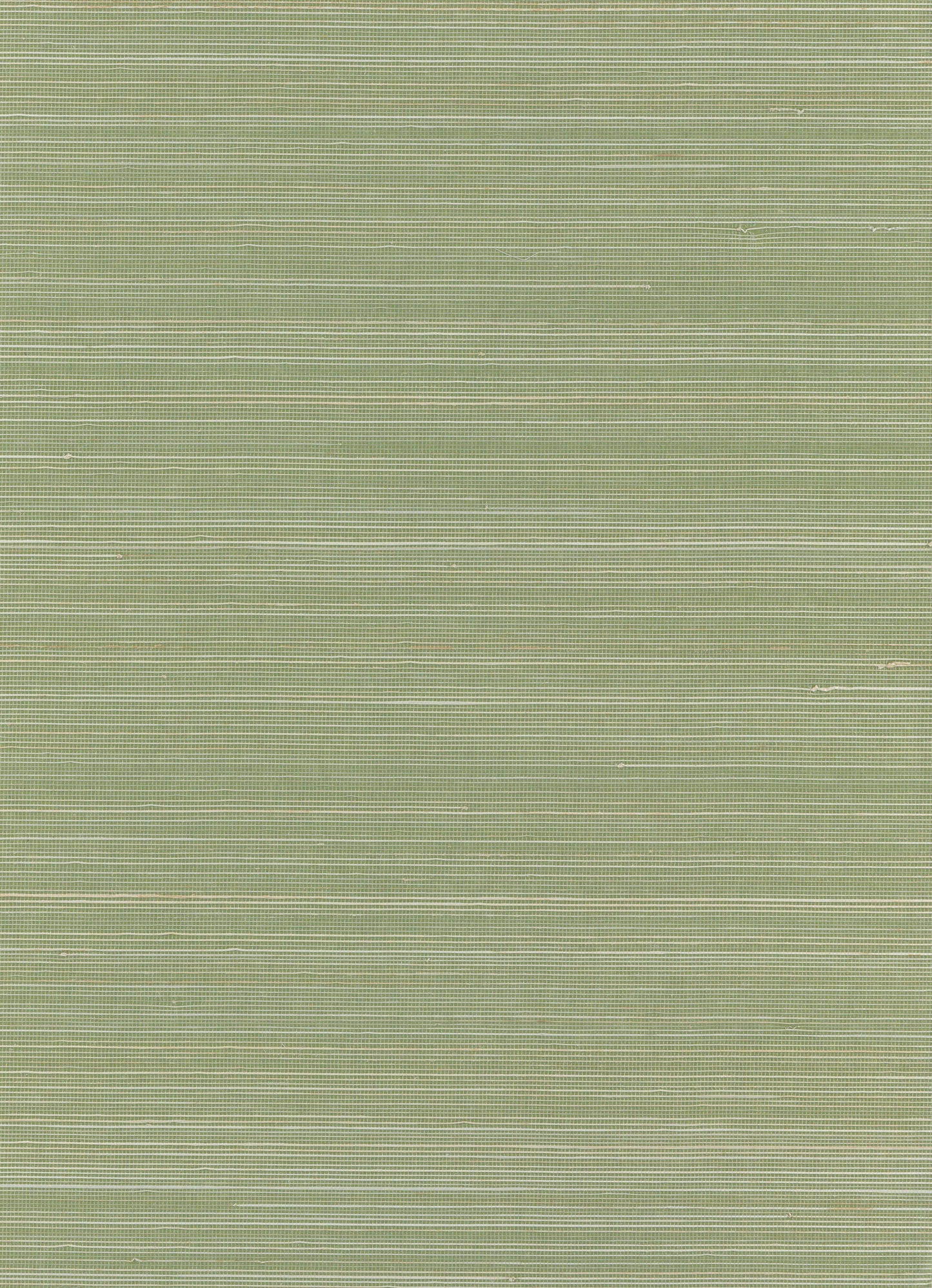 NICHOLASJOHN INC. Natural - Textured Wallcoverings ABACA - NJ25NA0130