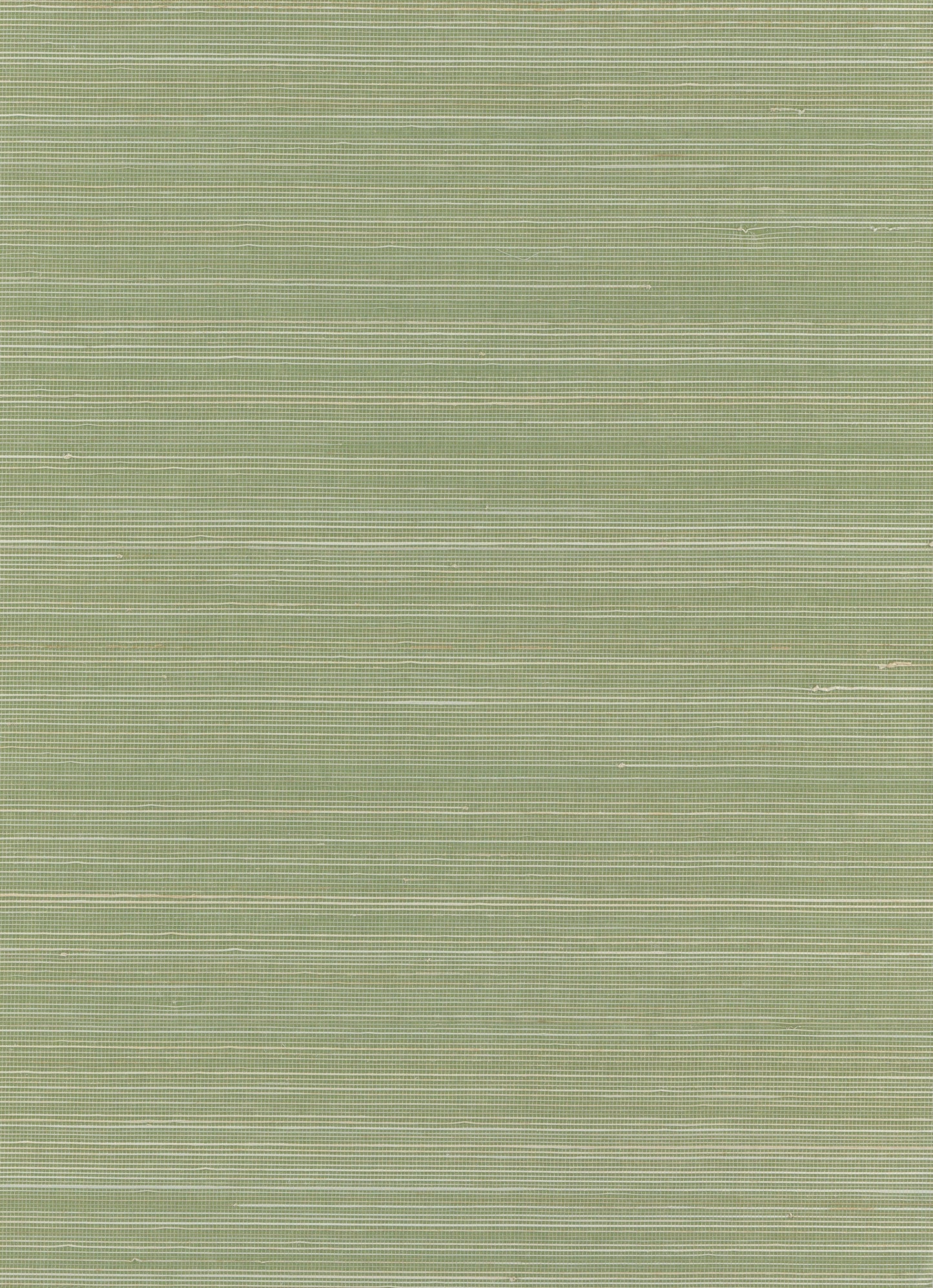 Olive-green brushed texture with fine horizontal stripes; abstract material look.