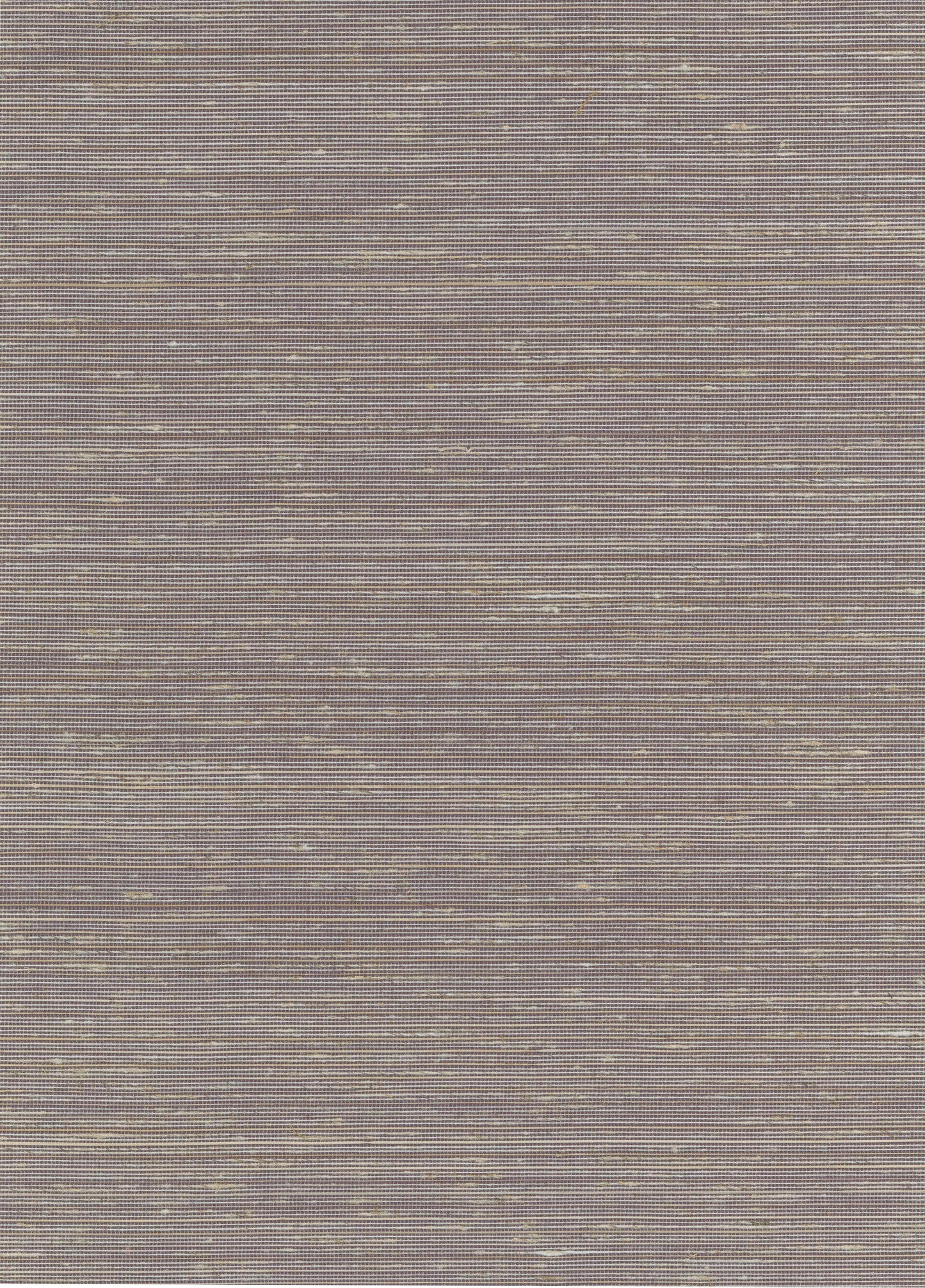NICHOLASJOHN INC. Natural - Textured Wallcoverings ABACA - NJ25NA2028