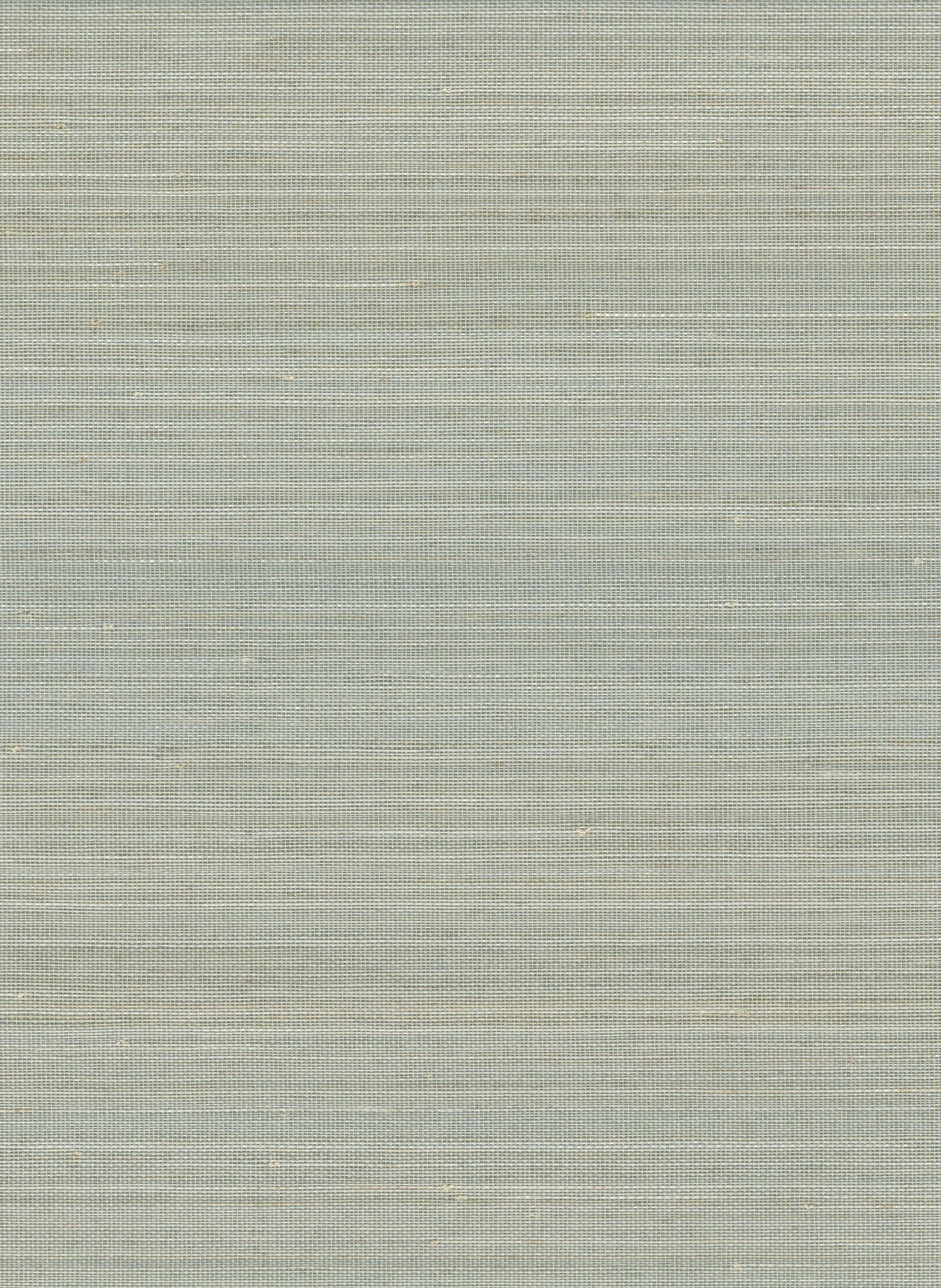 NICHOLASJOHN INC. Natural - Textured Wallcoverings ABACA - NJ25NA2038