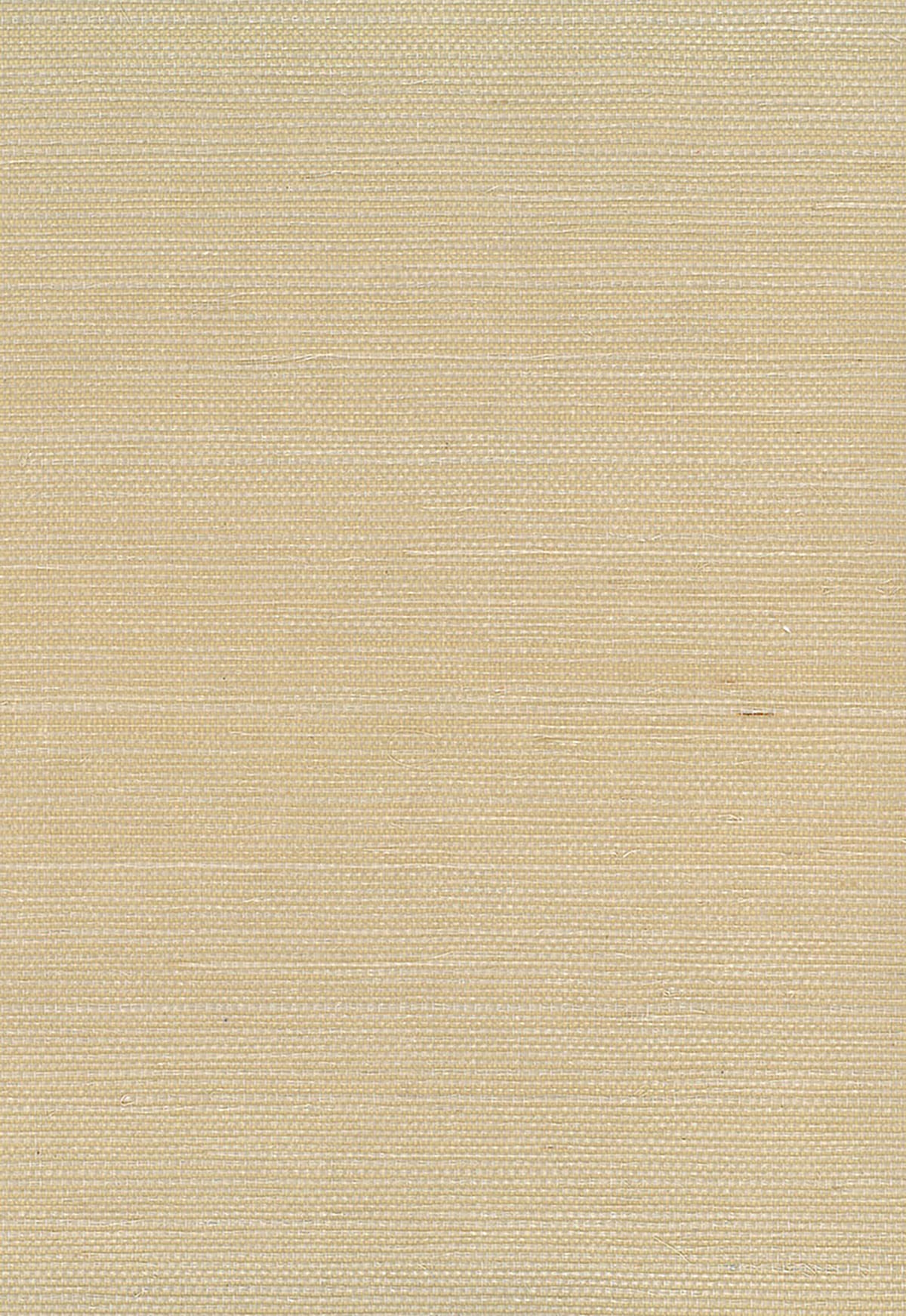 Seabrook Designs Natural Resource Sisal Grasscloth Contemporary Tan Matte - NA206