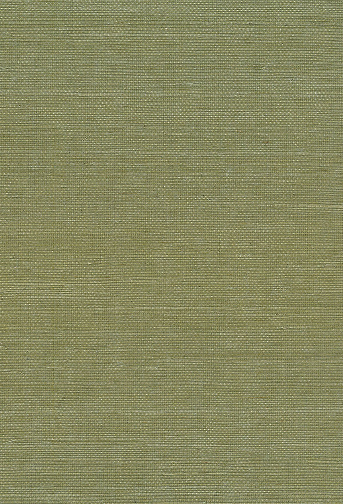 Seabrook Designs Natural Resource Sisal Grasscloth Contemporary Green Matte - NA208