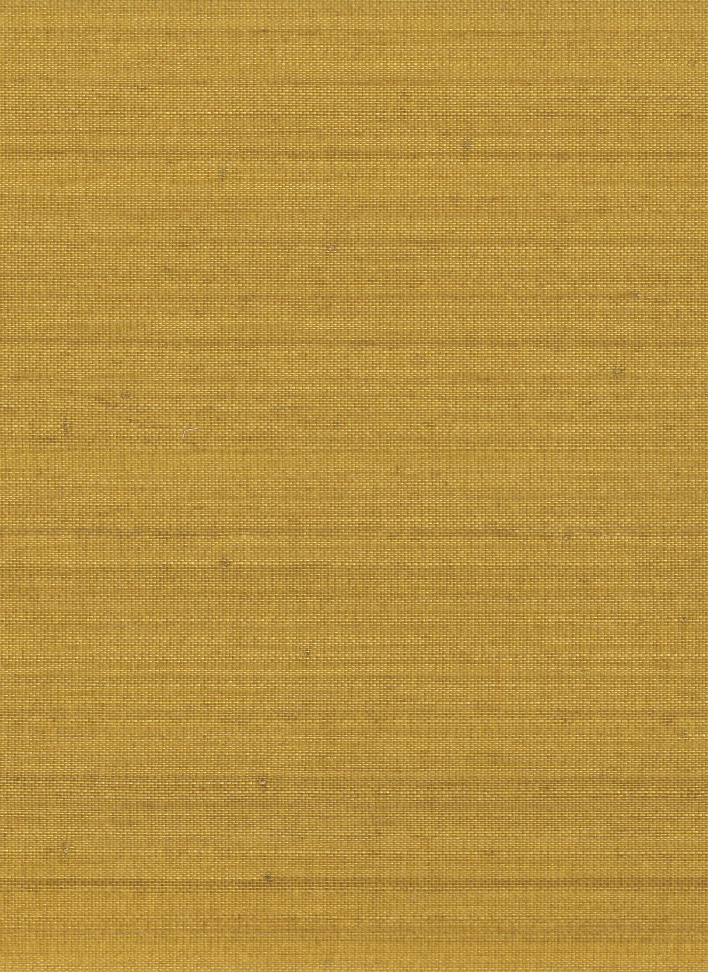 NICHOLASJOHN INC. Natural - Textured Wallcoverings ABACA - NJ25NA2090