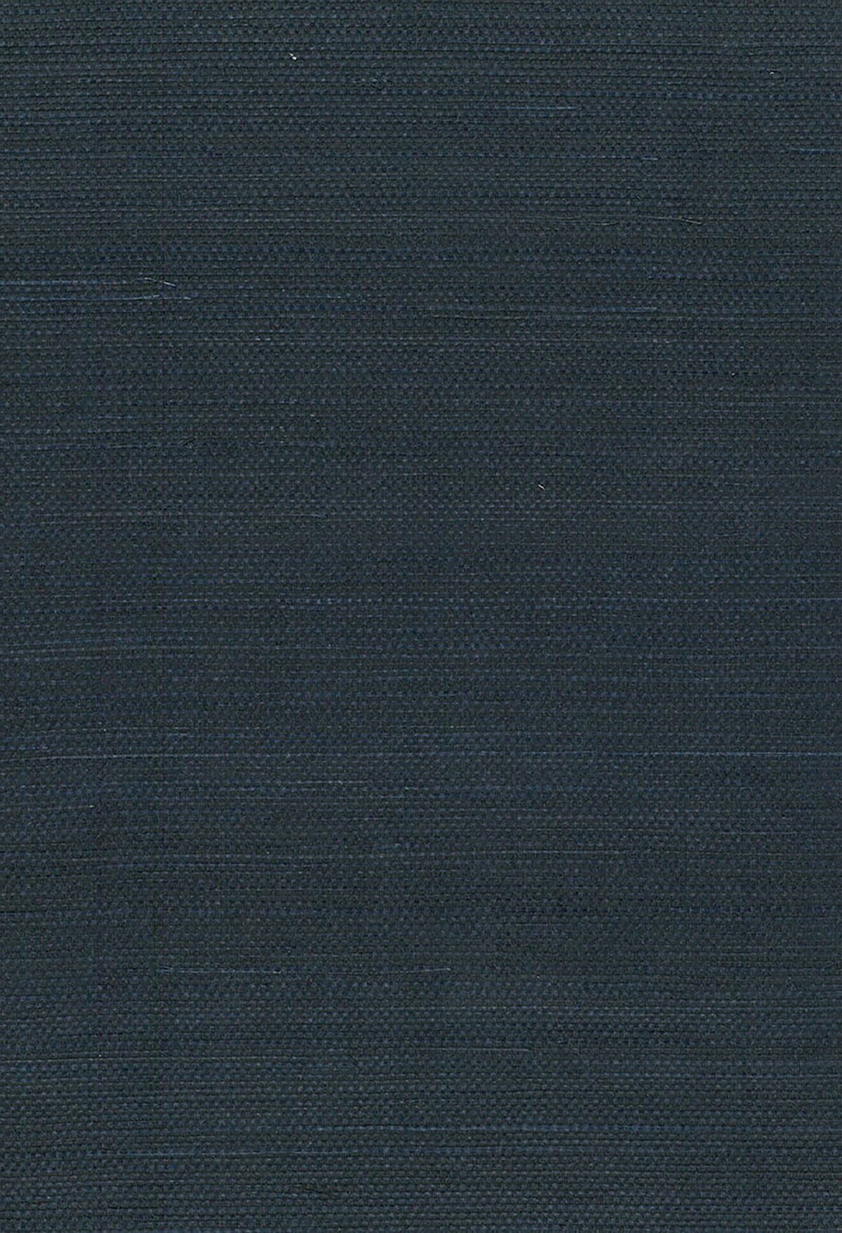 Seabrook Designs Natural Resource Sisal Grasscloth Contemporary Blue Matte - NA210