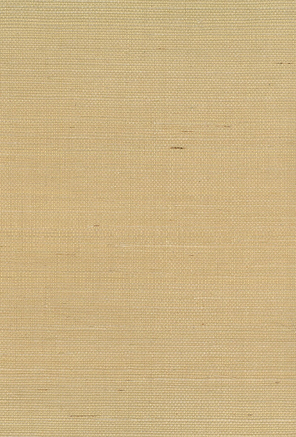 Seabrook Designs Natural Resource Sisal Grasscloth Contemporary Brown Matte - NA211