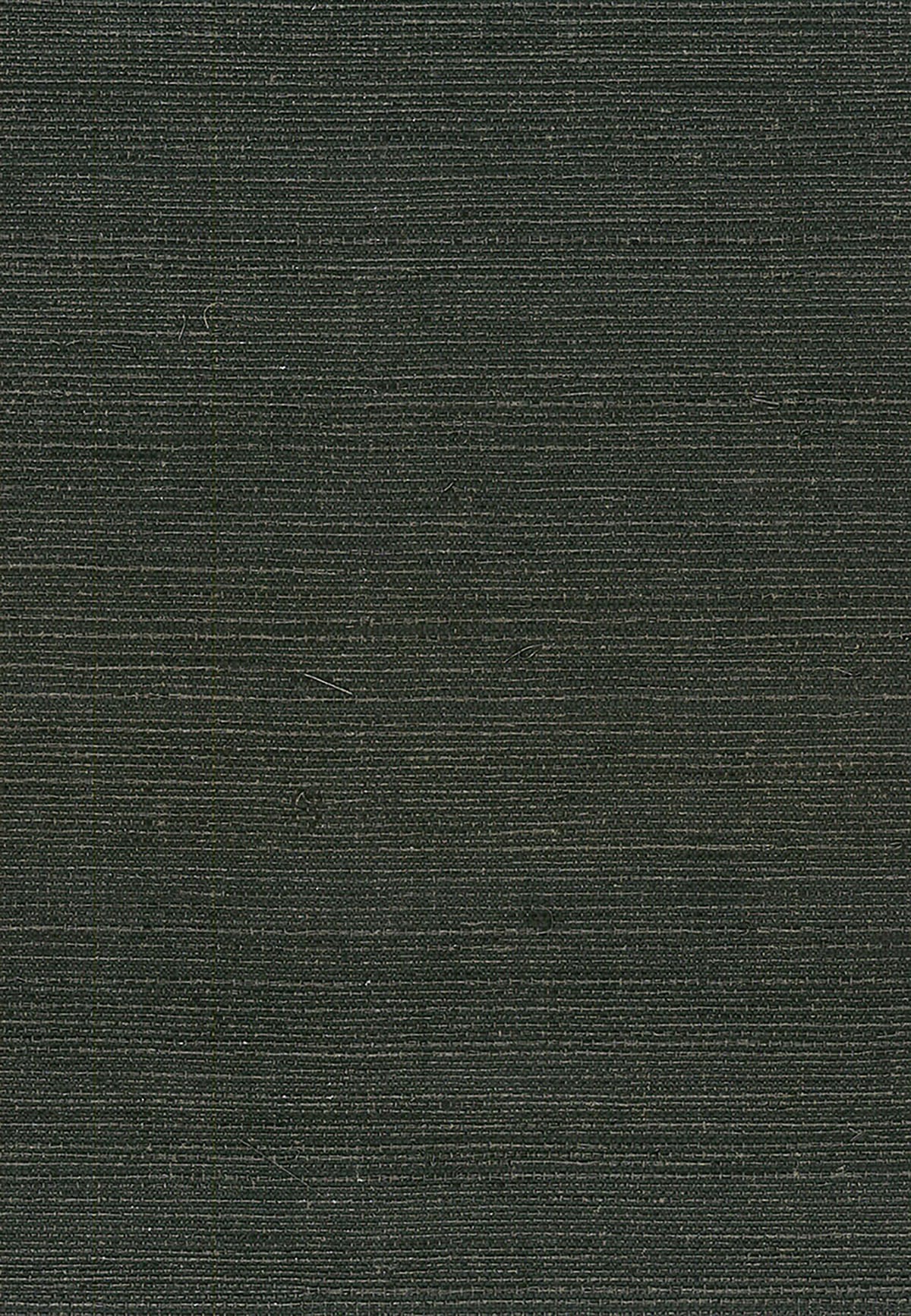 Seabrook Designs Natural Resource Sisal Grasscloth Contemporary Black Matte - NA214