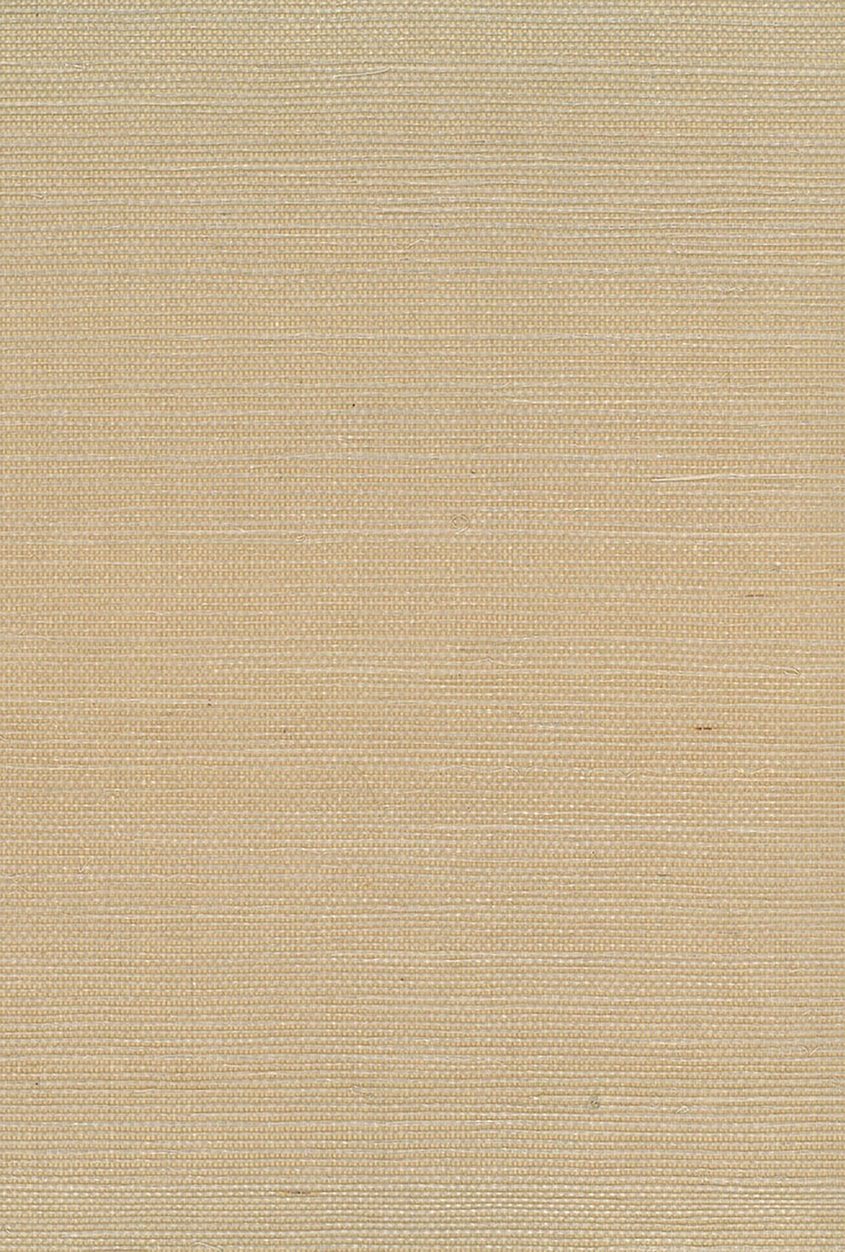 Seabrook Designs Natural Resource Sisal Grasscloth Contemporary Beige Matte - NA219