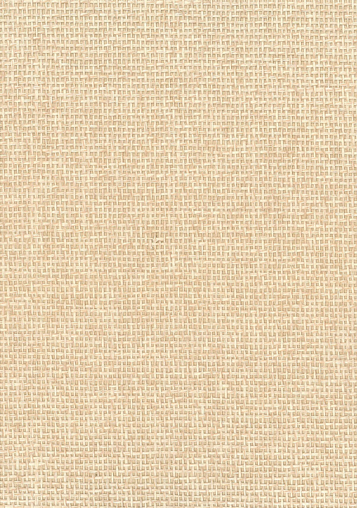 Seabrook Designs Natural Resource Paperweave Grasscloth Contemporary Beige Matte - NA506