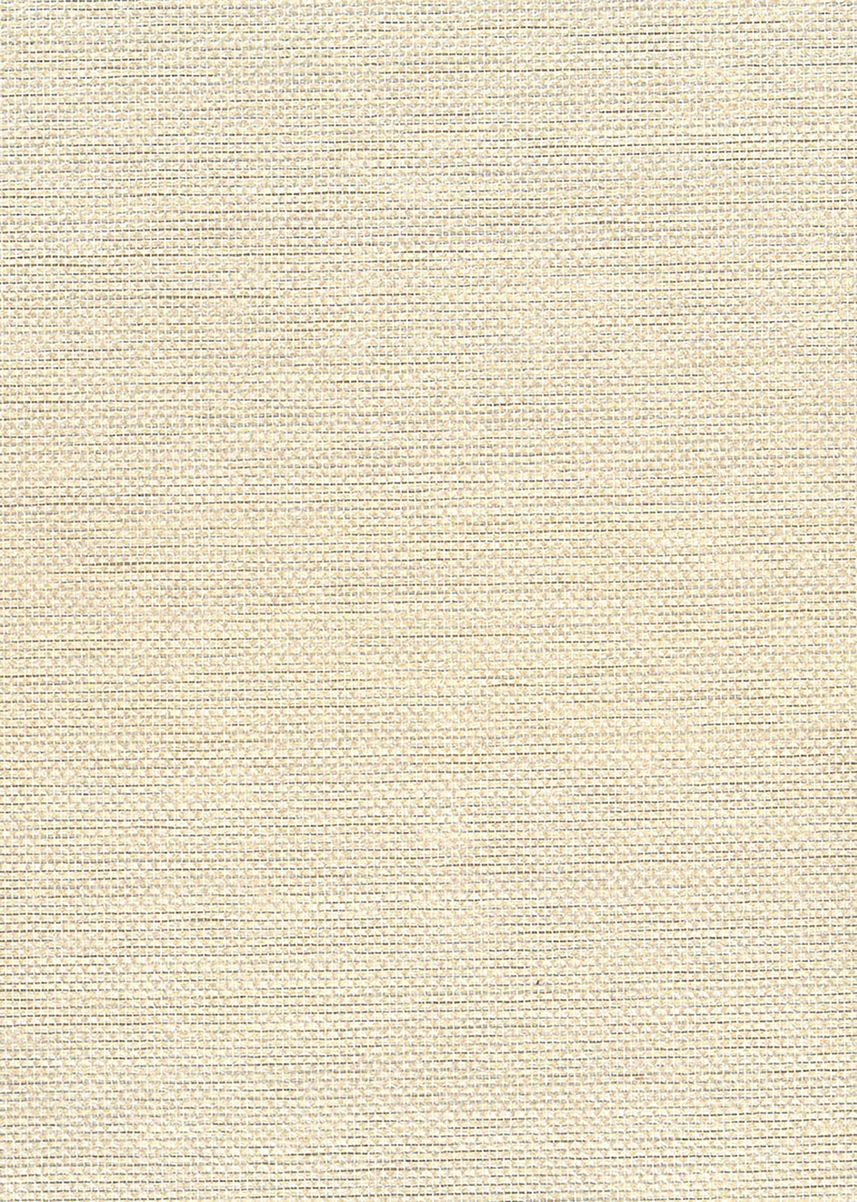Seabrook Designs Natural Resource Paperweave Grasscloth Contemporary Silver Metallic - NA509