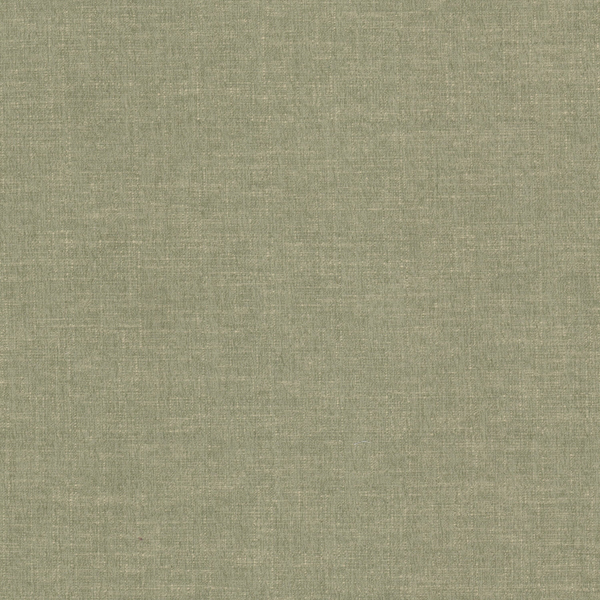 STOUT TEXTILES MULTIPURPOSE,TEXTURE TRADITIONAL, TEXTURE ALOE - NAIR-8