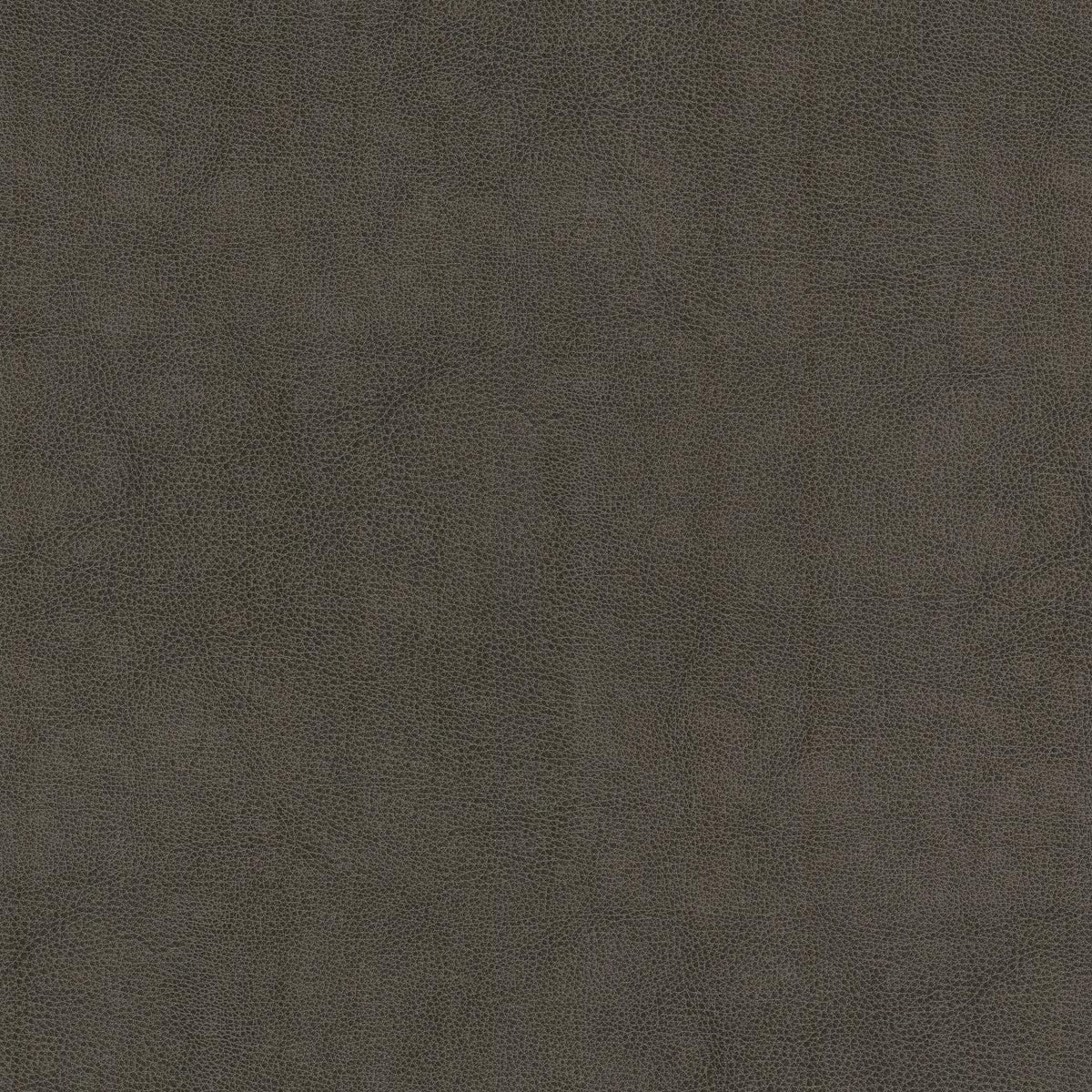 STOUT TEXTILES FAUX LEATHER TRADITIONAL, SOLID SHADOW - NARC-1
