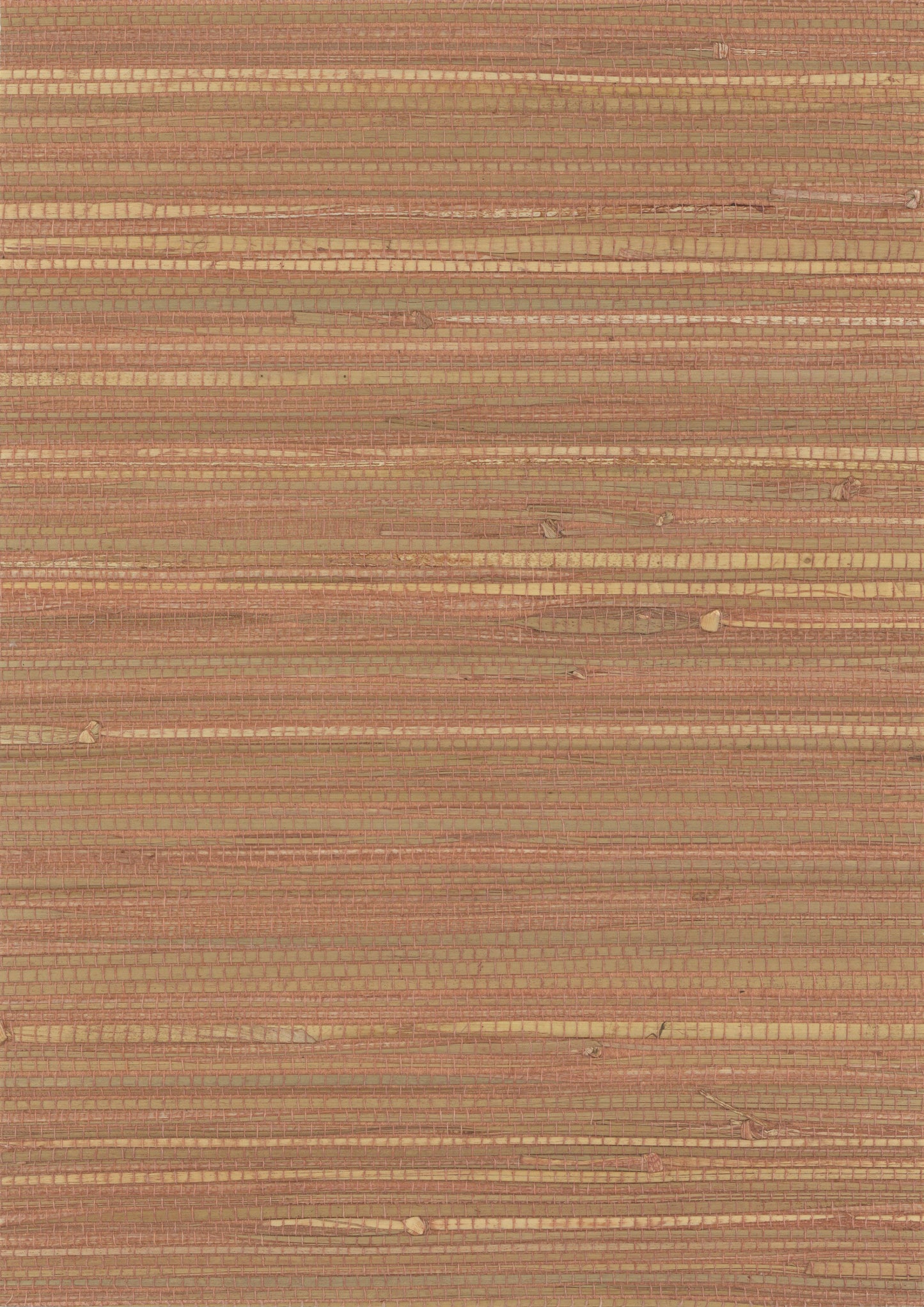 NICHOLASJOHN INC. Natural - Textured Wallcoverings RAFFIA - NJ25NG1012