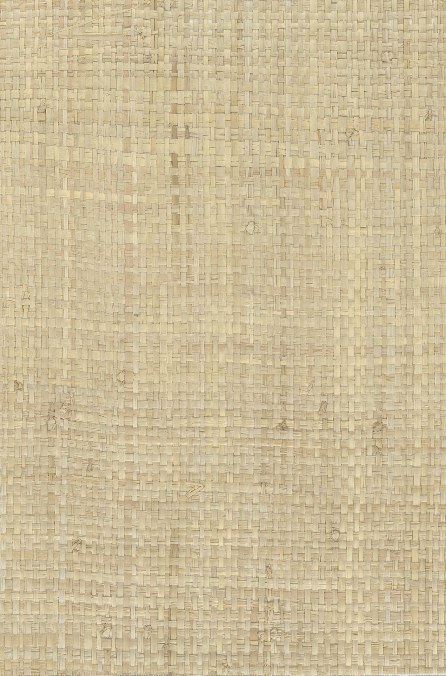 NICHOLASJOHN INC. Natural - Textured Wallcoverings Raffia - NJ25NG5014
