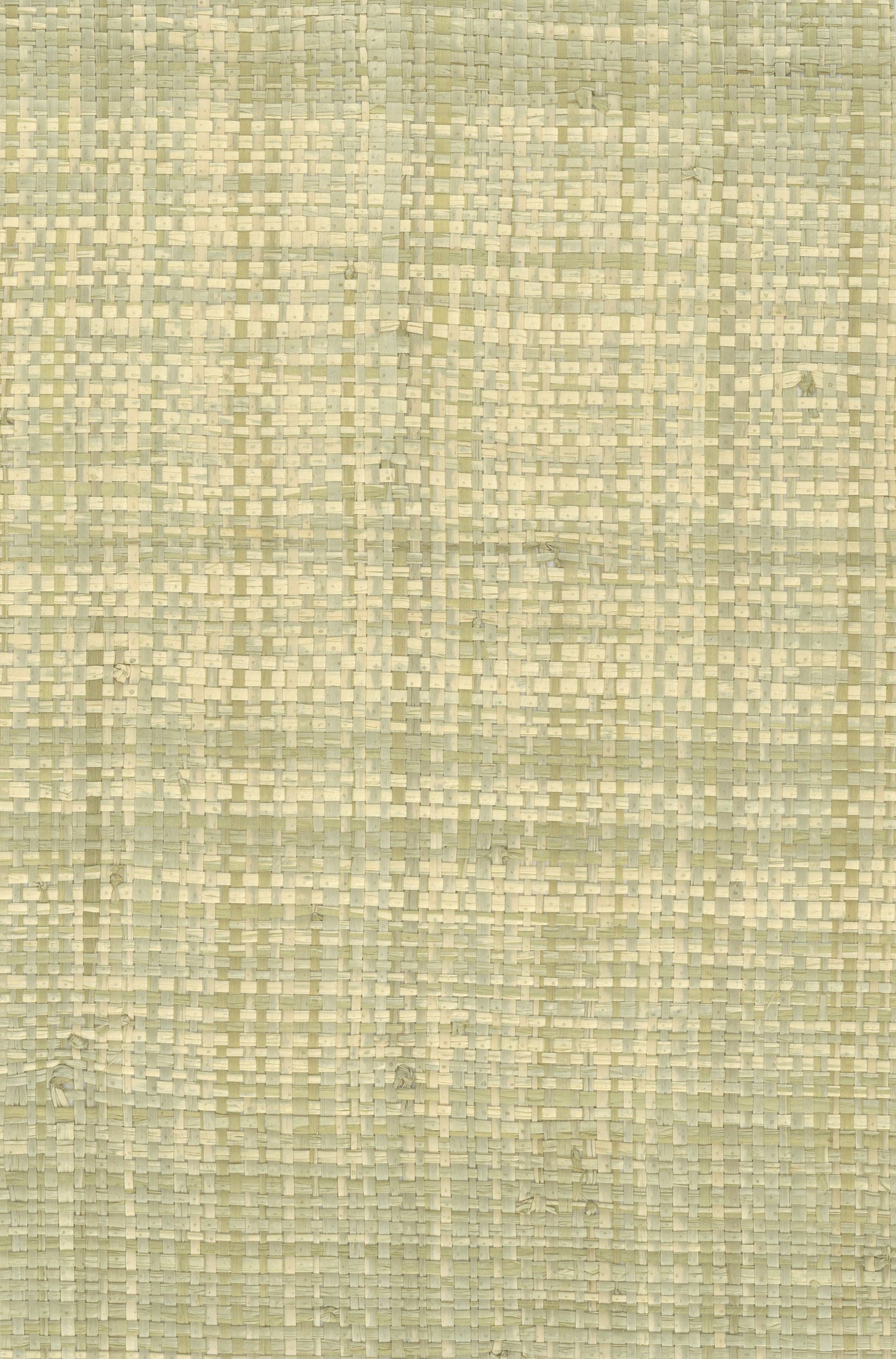 NICHOLASJOHN INC. Natural - Textured Wallcoverings Raffia - NJ25NG5020