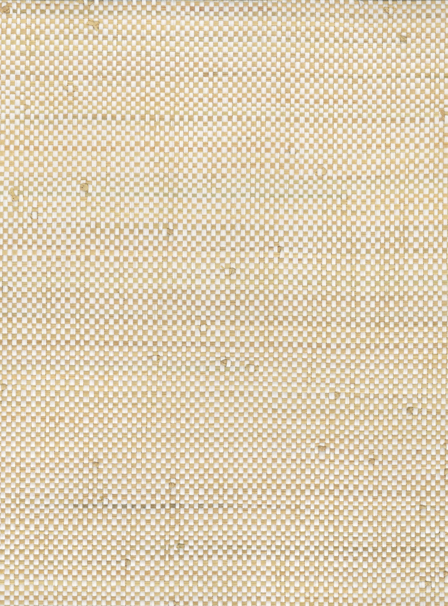 NICHOLASJOHN INC. Natural - Textured Wallcoverings RAFFIA - NJ25NG5081