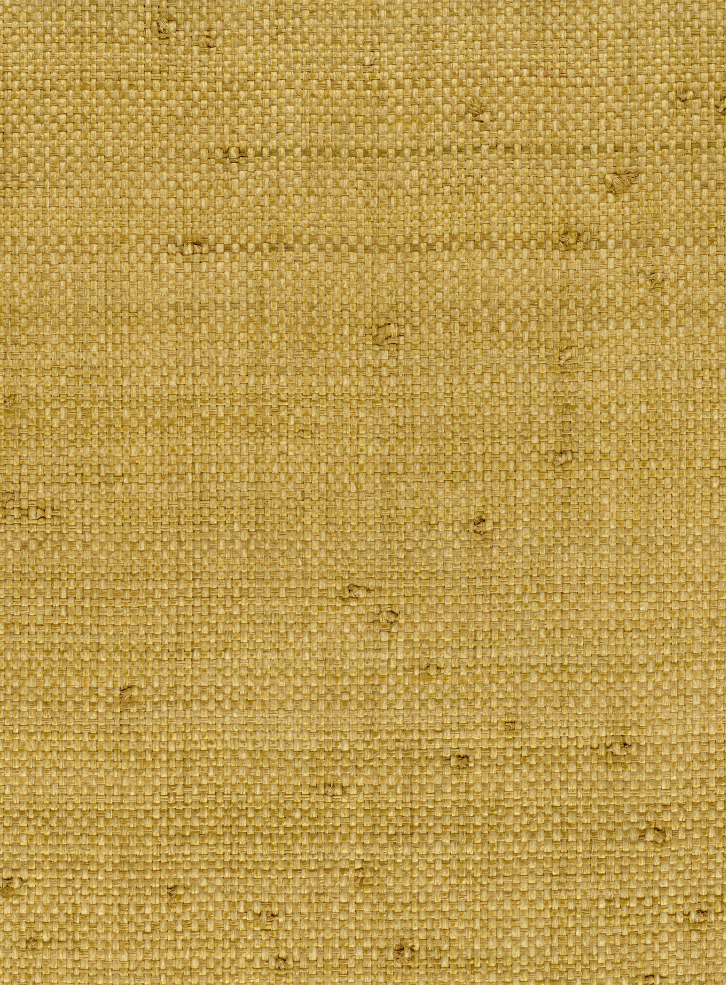 NICHOLASJOHN INC. Natural - Textured Wallcoverings RAFFIA - NJ25NG5084